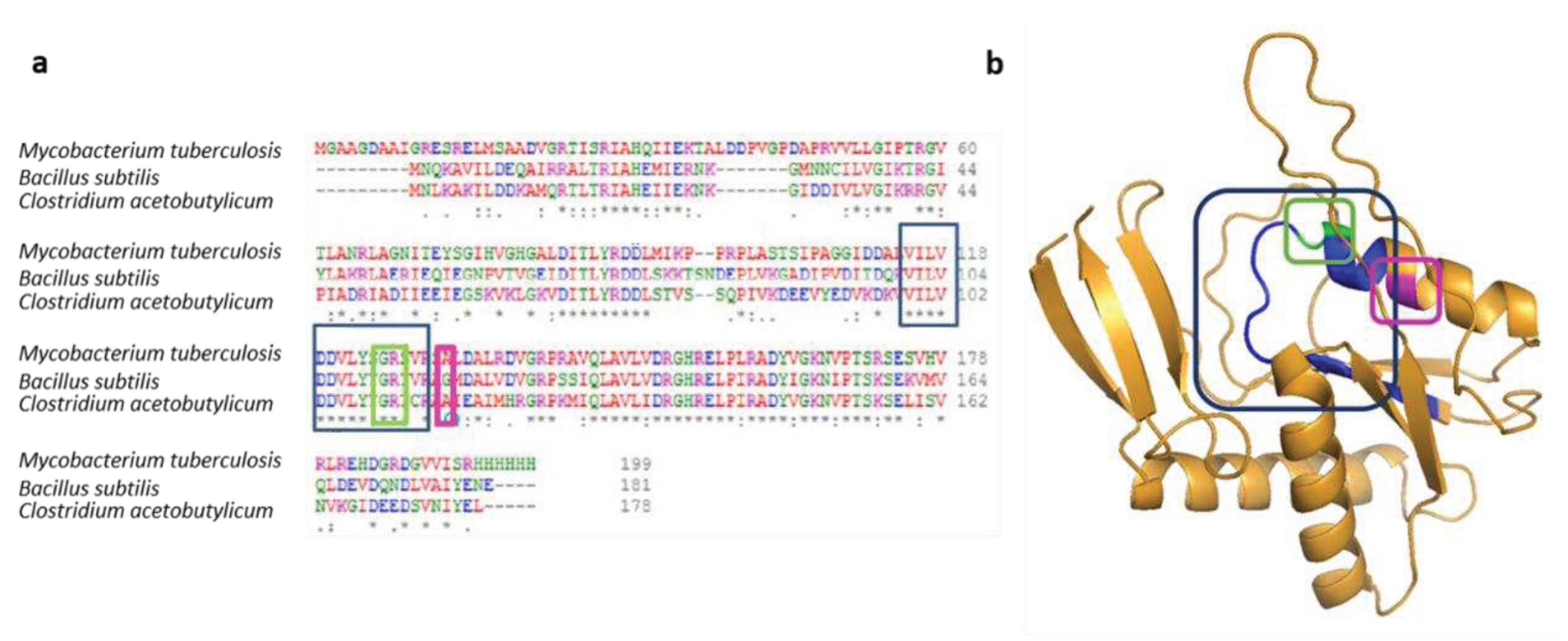 Preprints 87071 g006