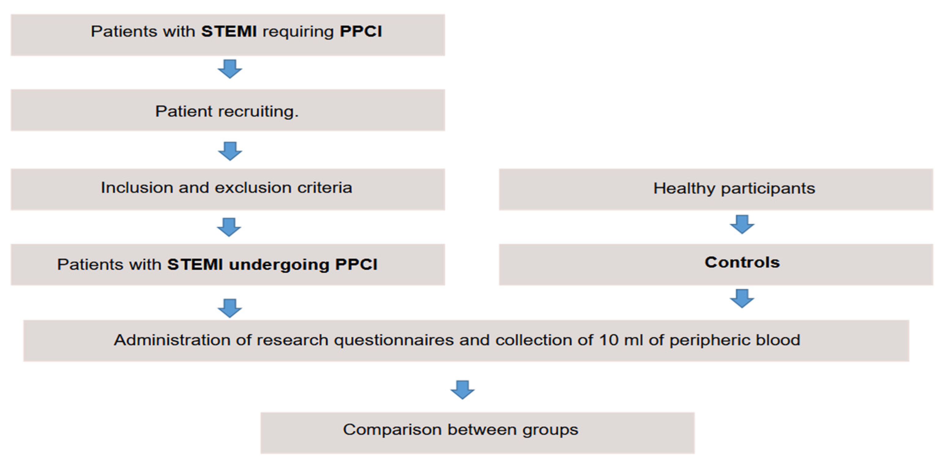 Preprints 110721 g001