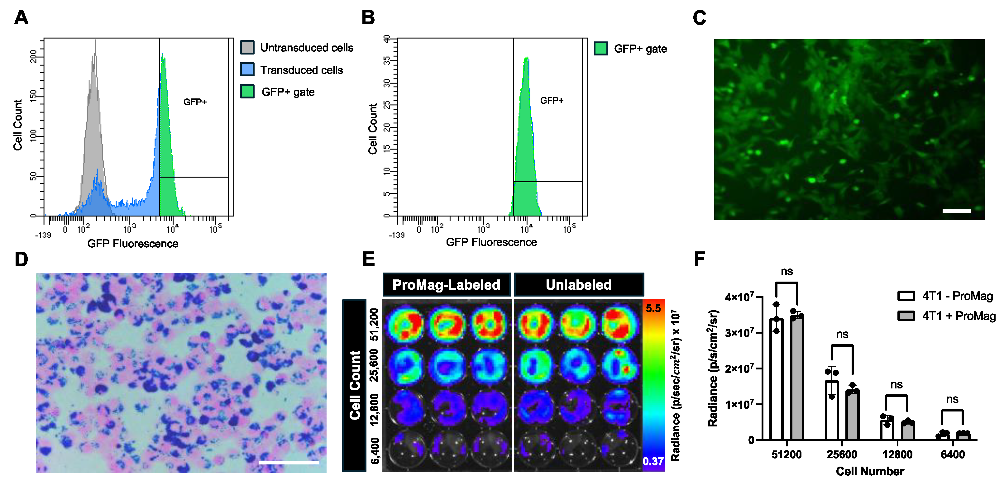 Preprints 120299 g001