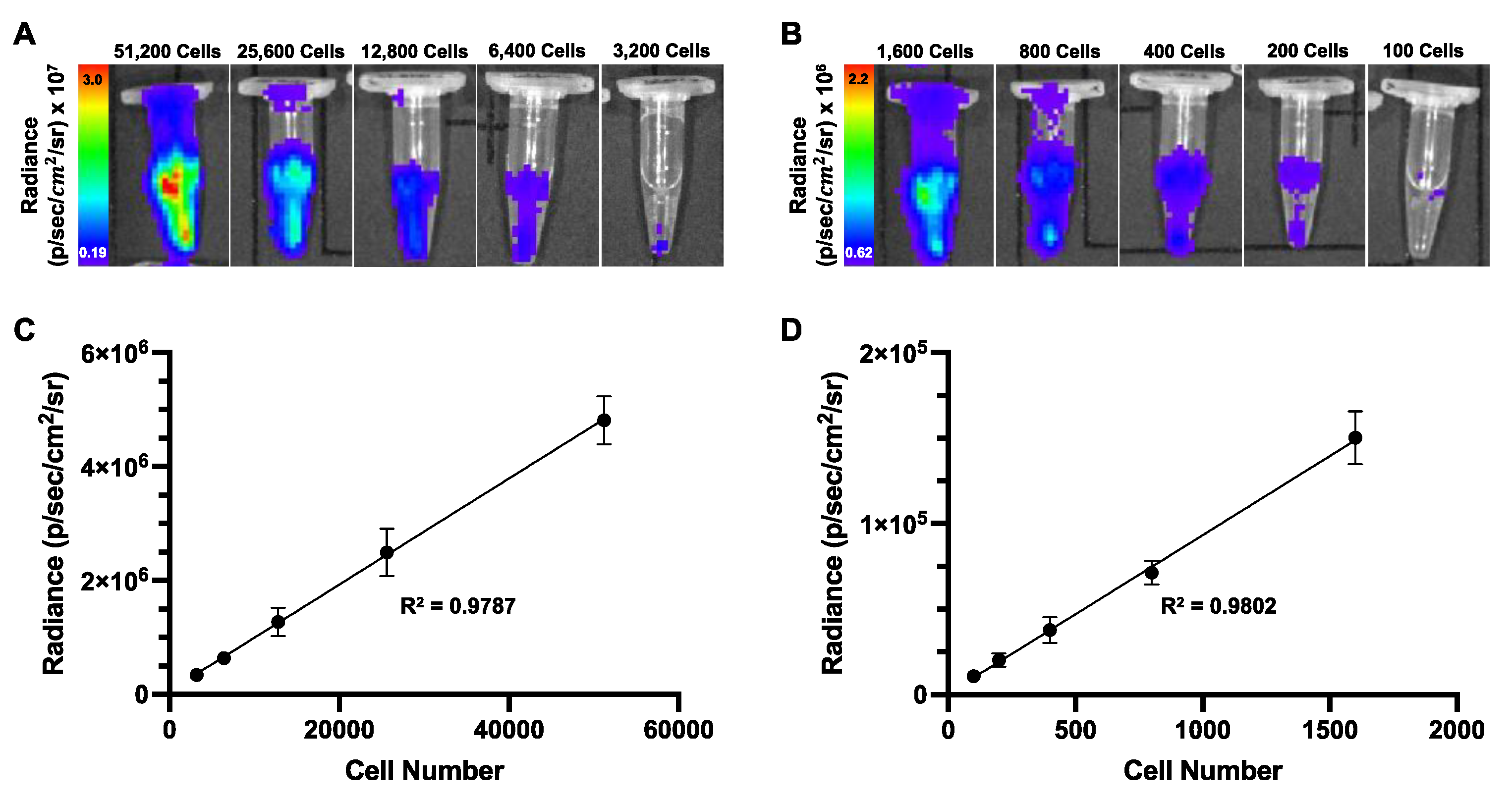 Preprints 120299 g003