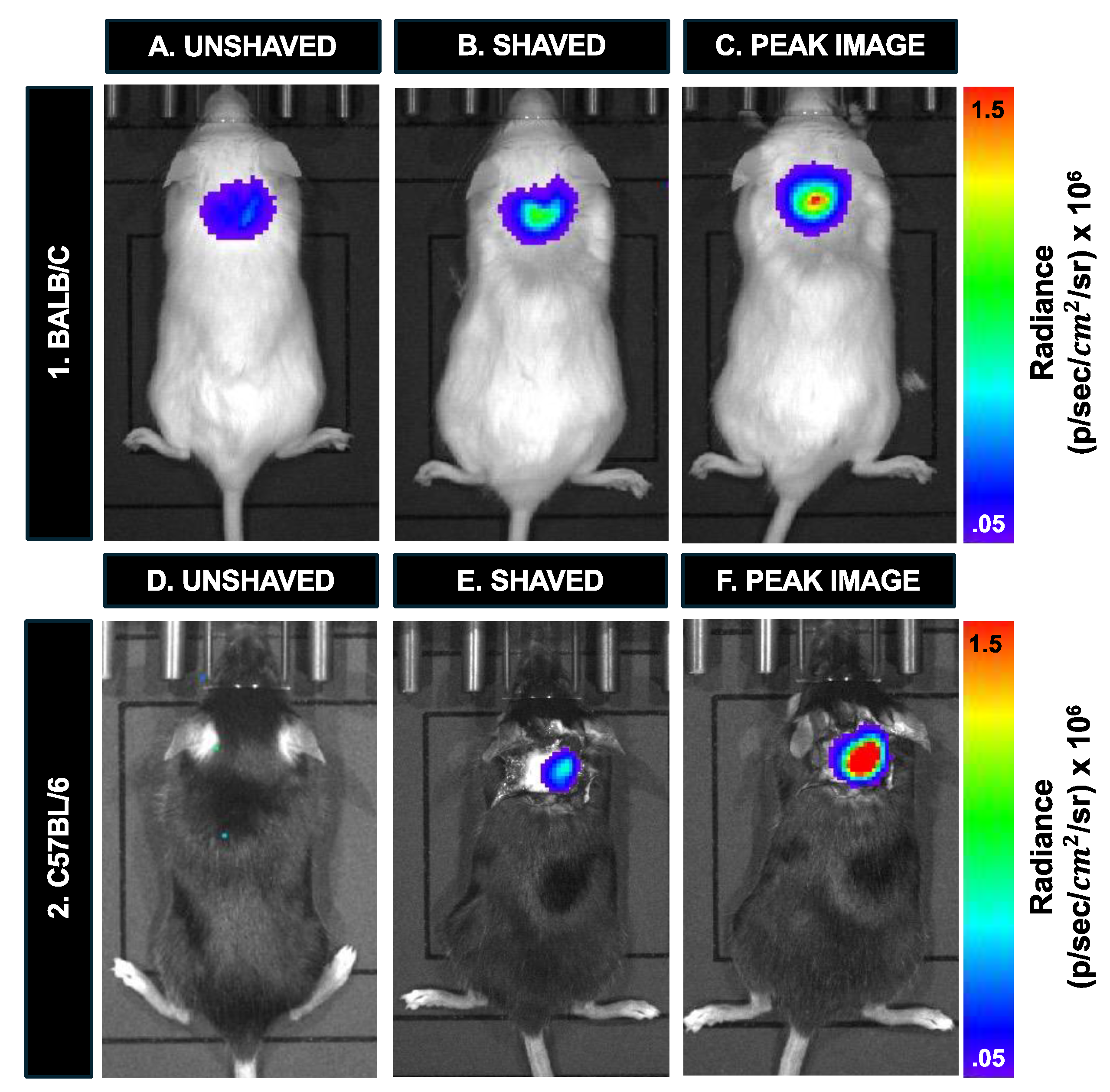 Preprints 120299 g007