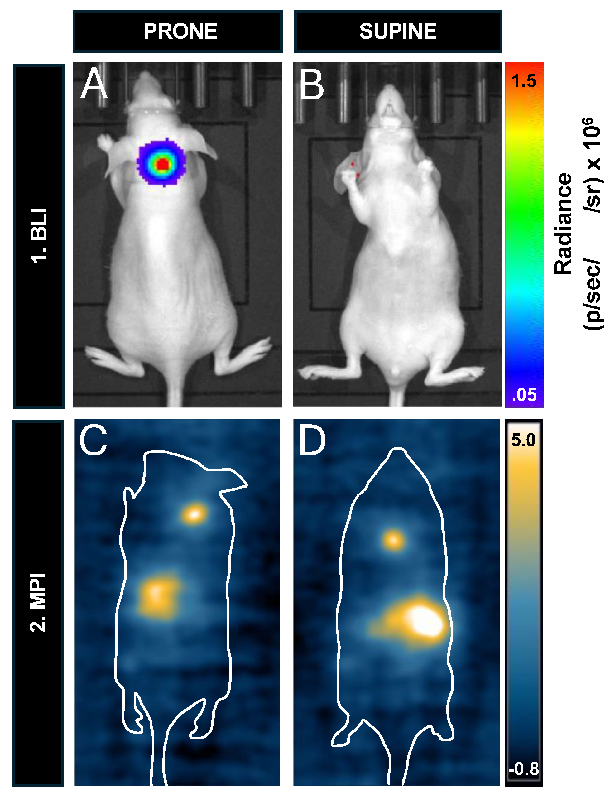 Preprints 120299 g008