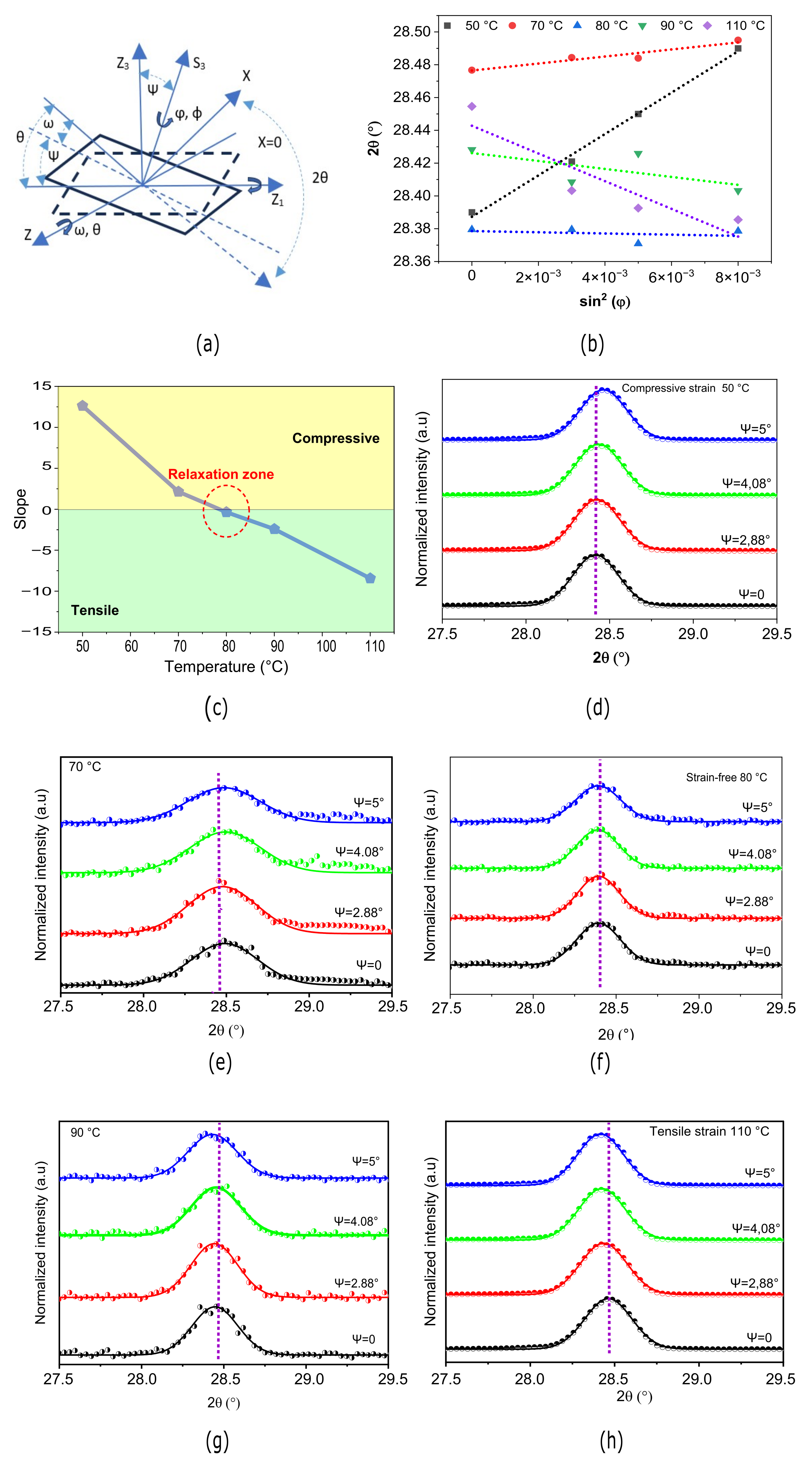 Preprints 110460 g003