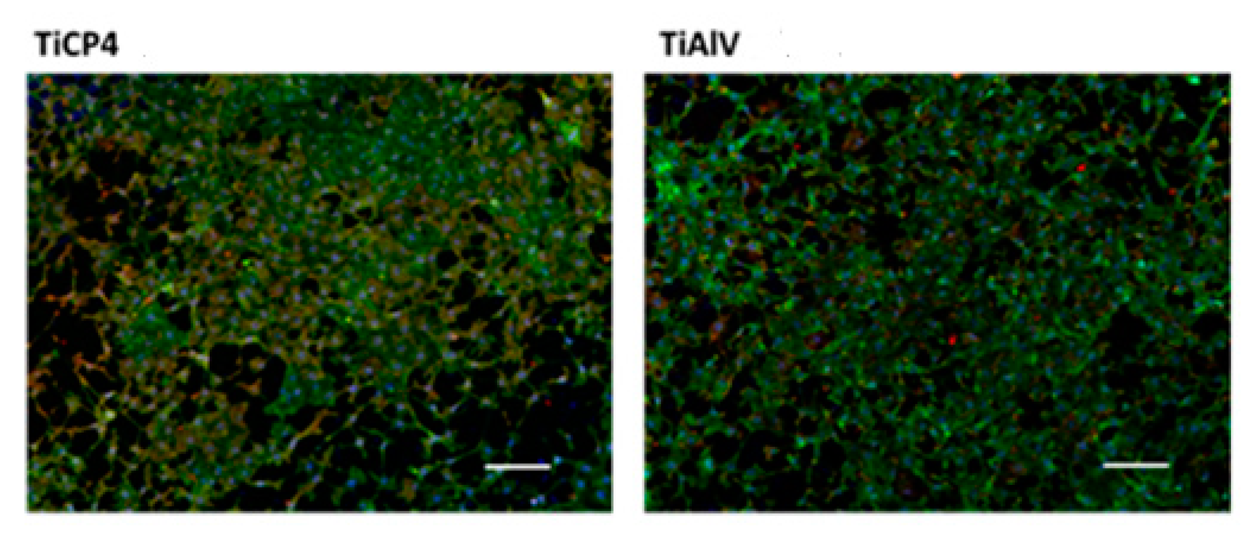 Preprints 113392 g015