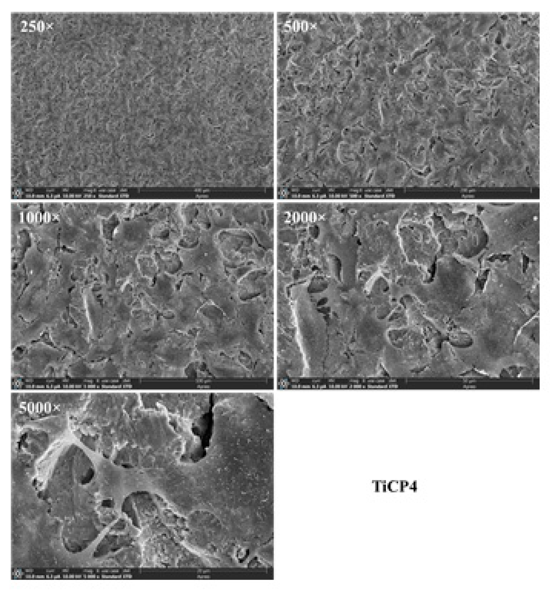 Preprints 113392 g016