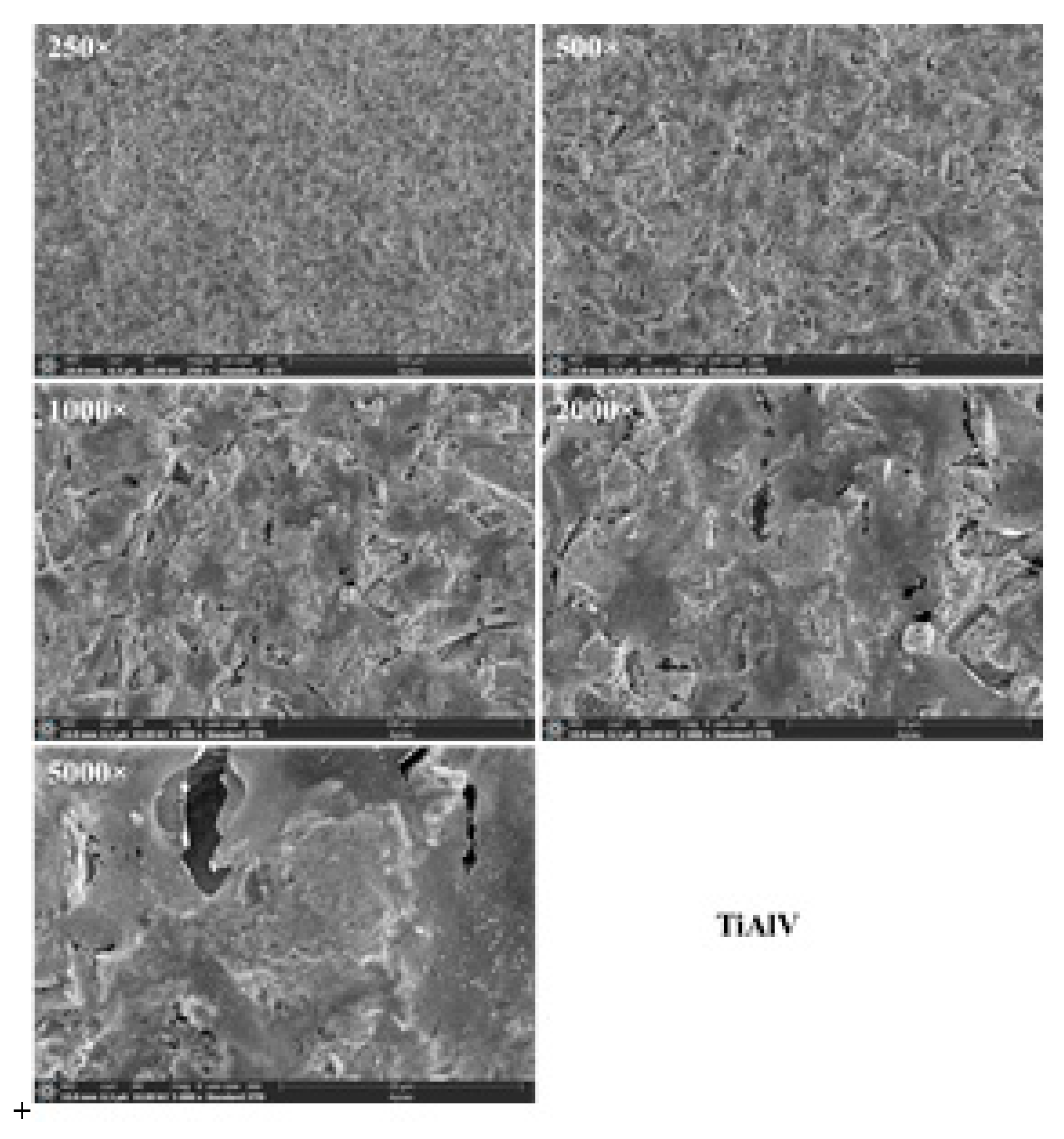 Preprints 113392 g017