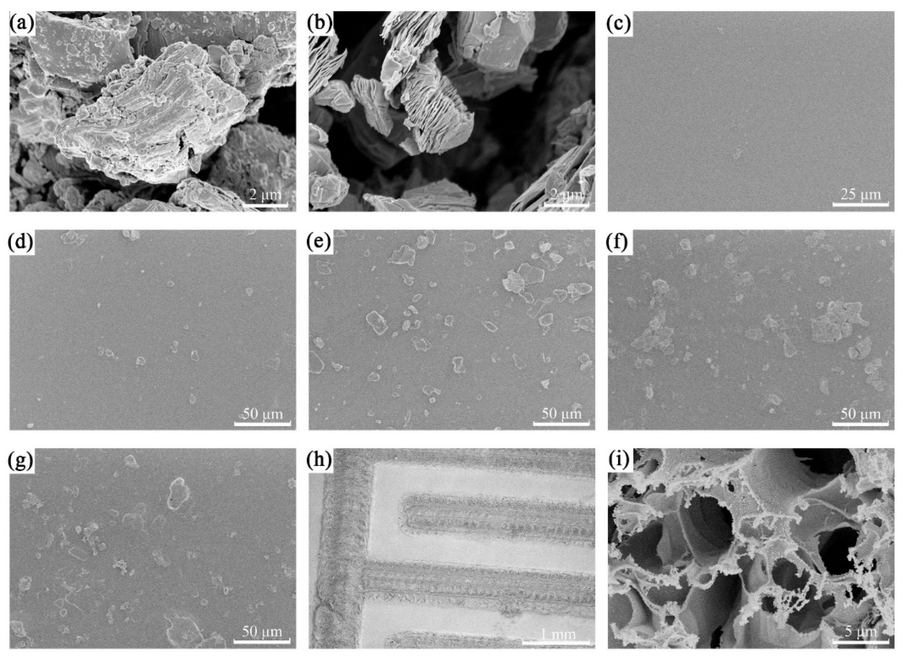 Preprints 119410 g004