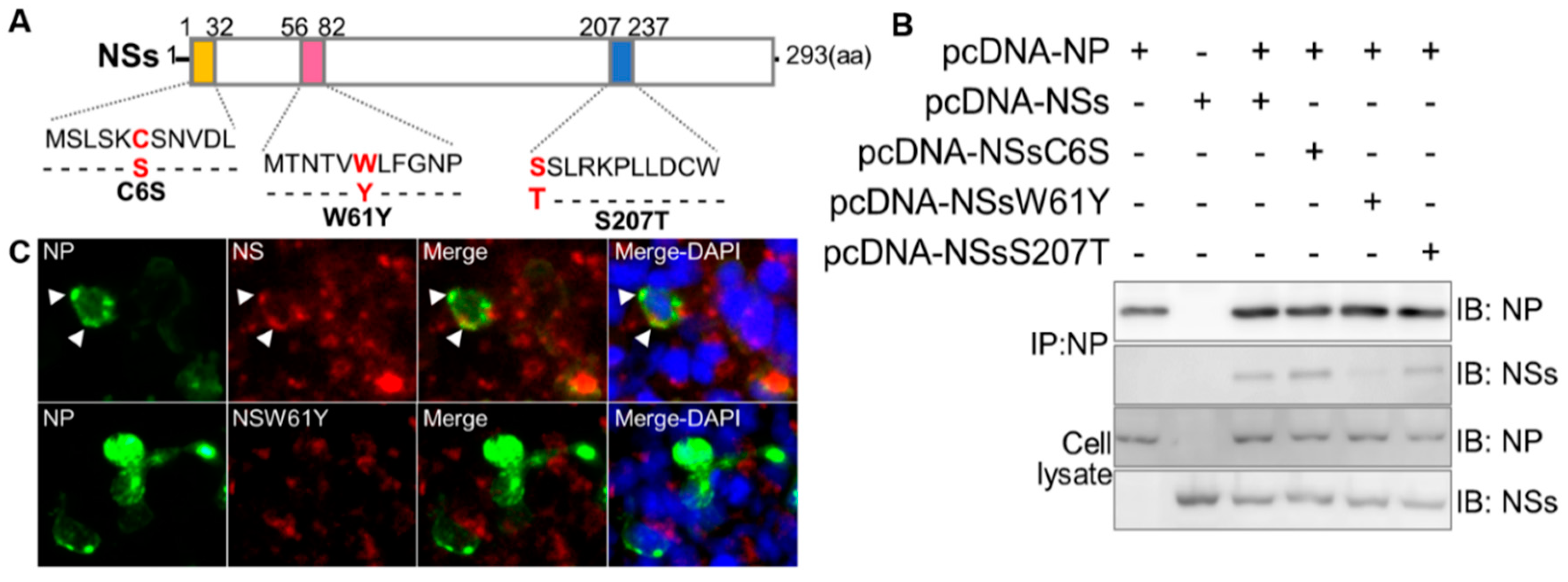 Preprints 81741 g002