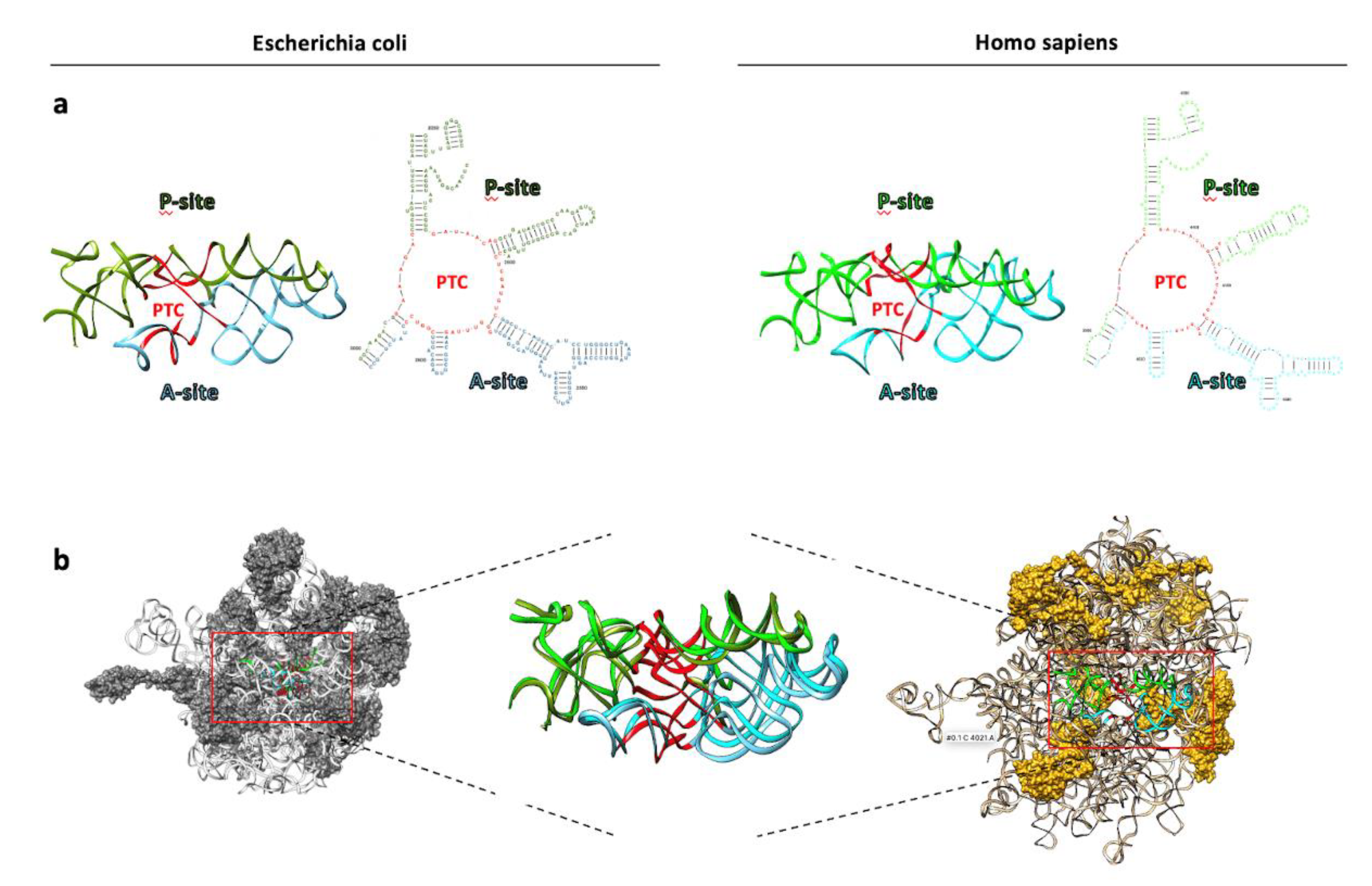 Preprints 87644 g002