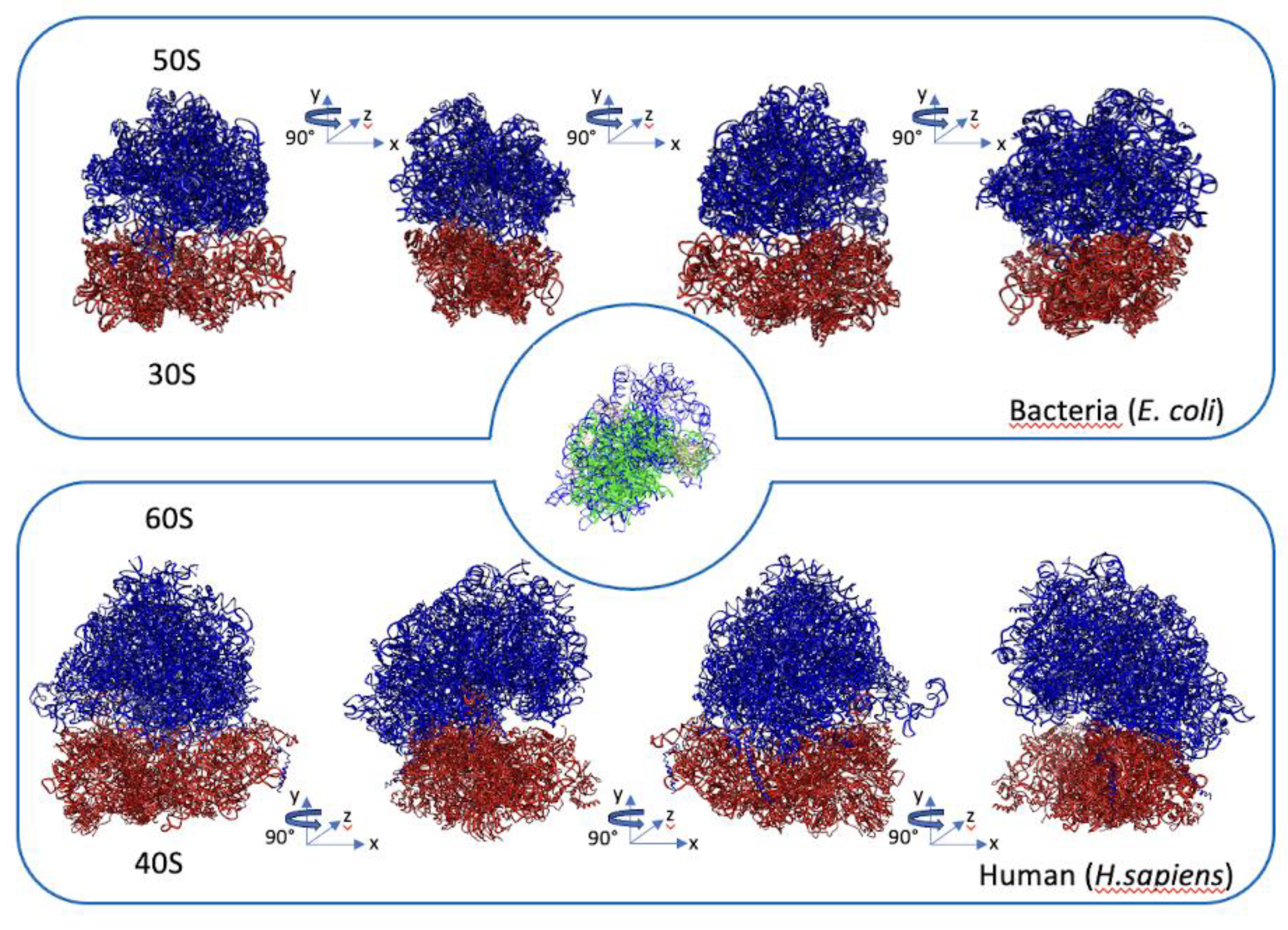 Preprints 87644 g003