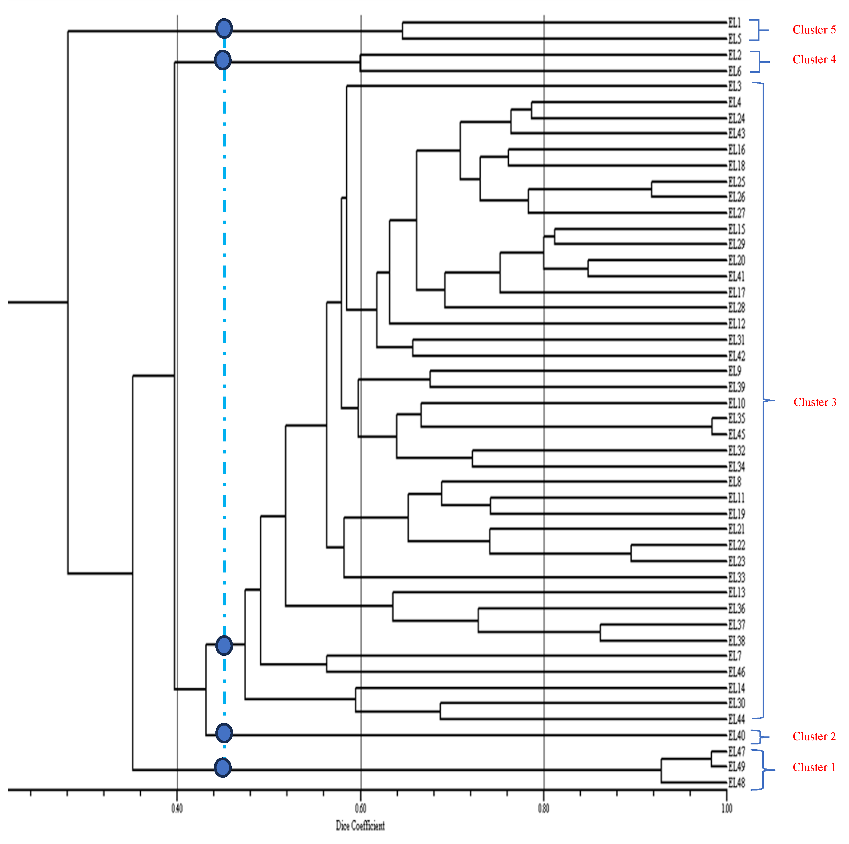 Preprints 110519 g002