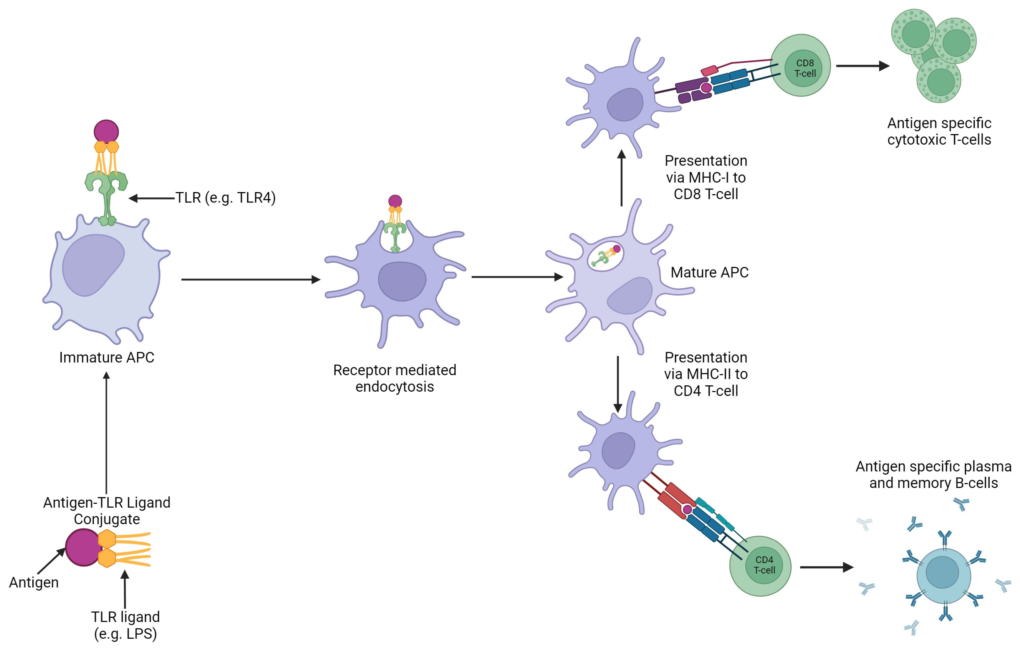 Preprints 119687 g005