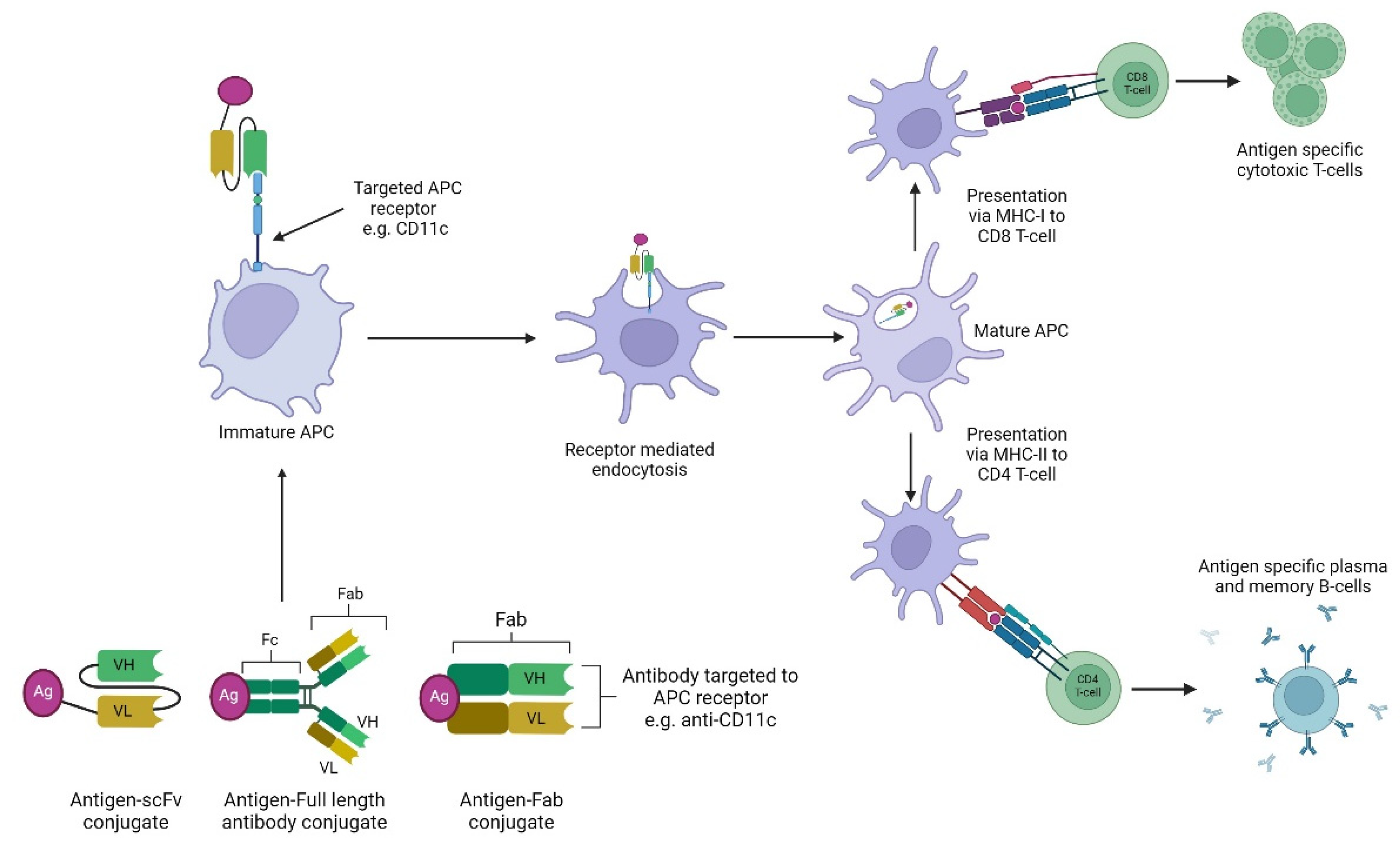 Preprints 119687 g006