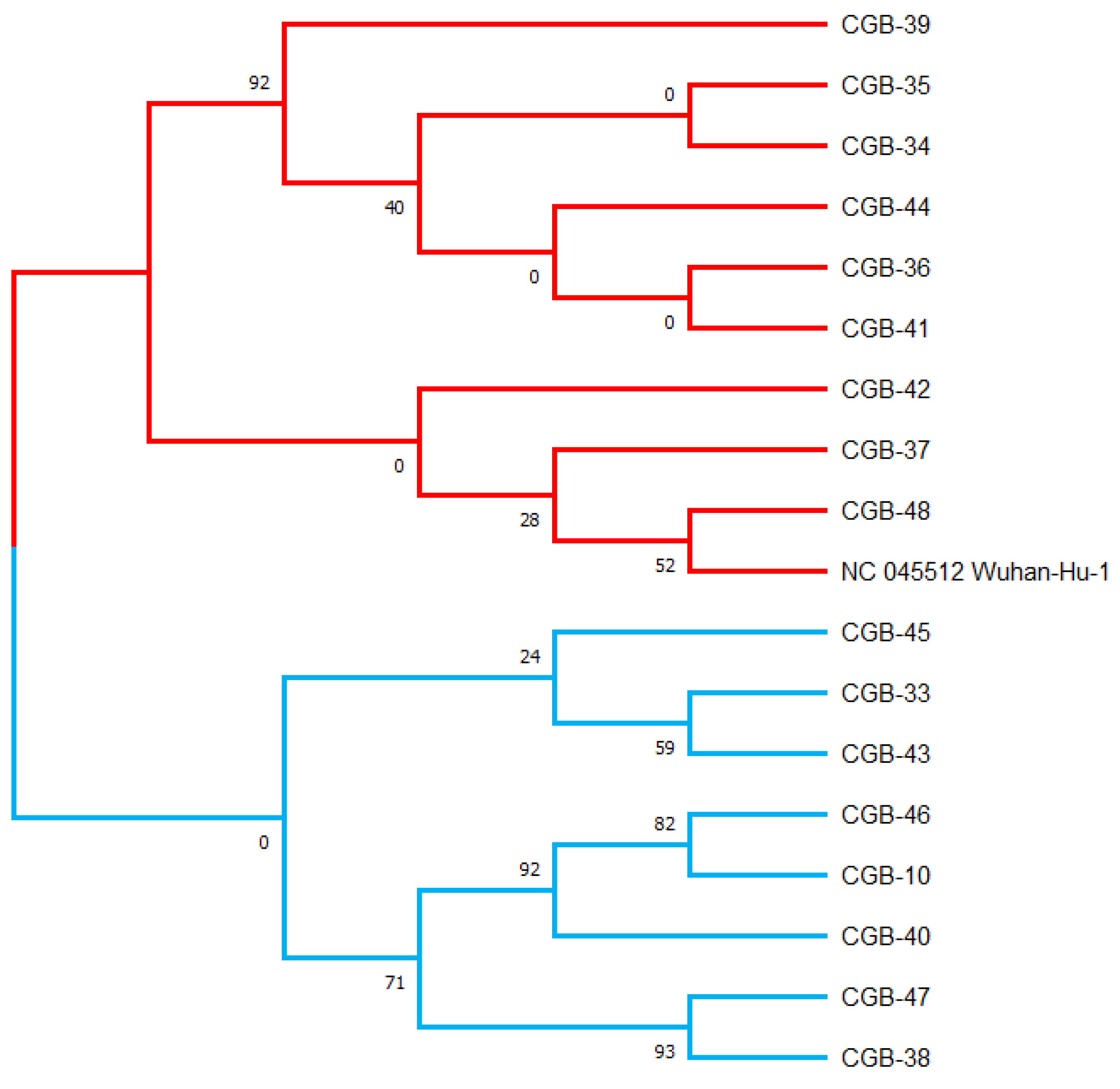 Preprints 80560 g001