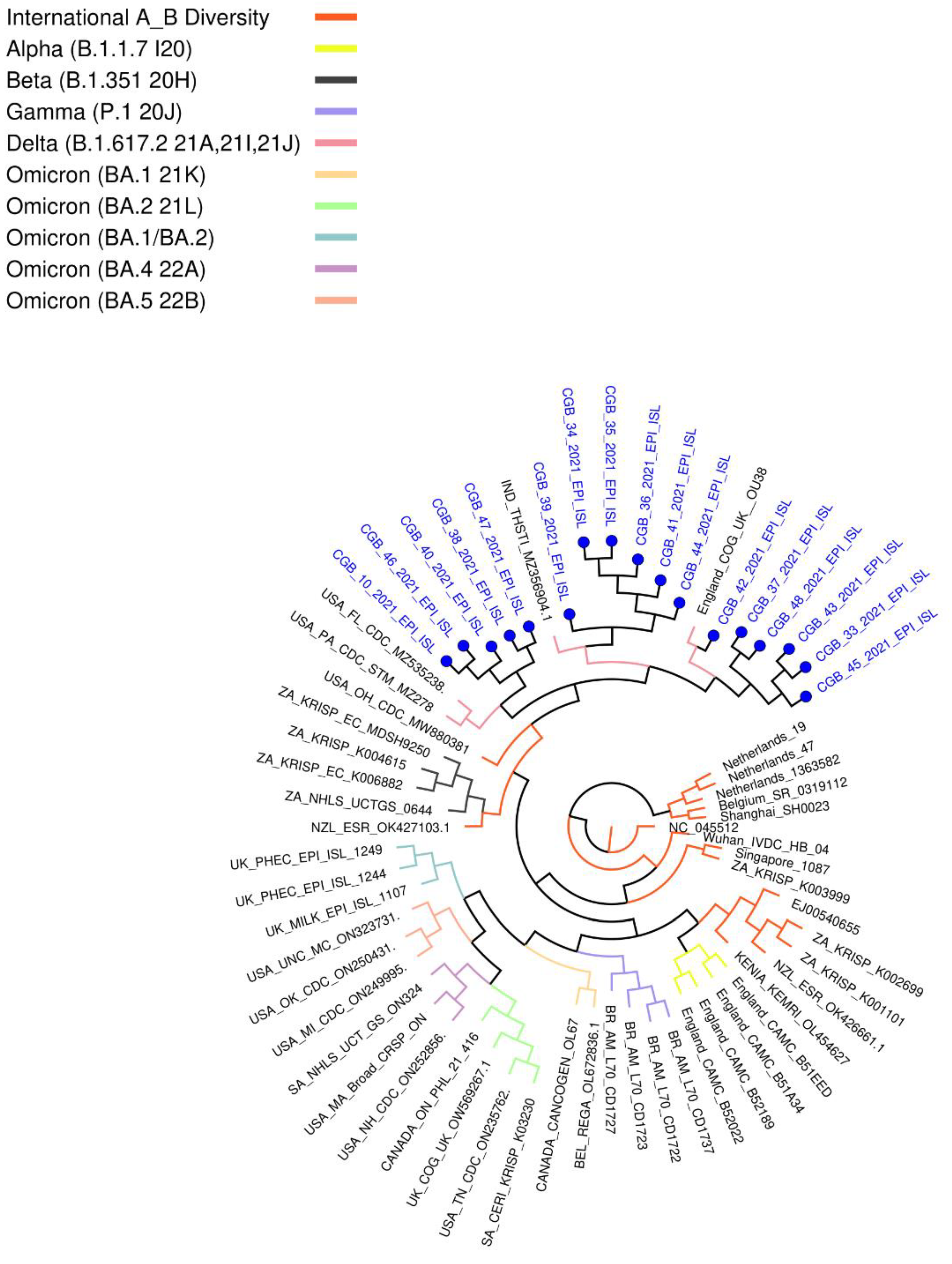 Preprints 80560 g003