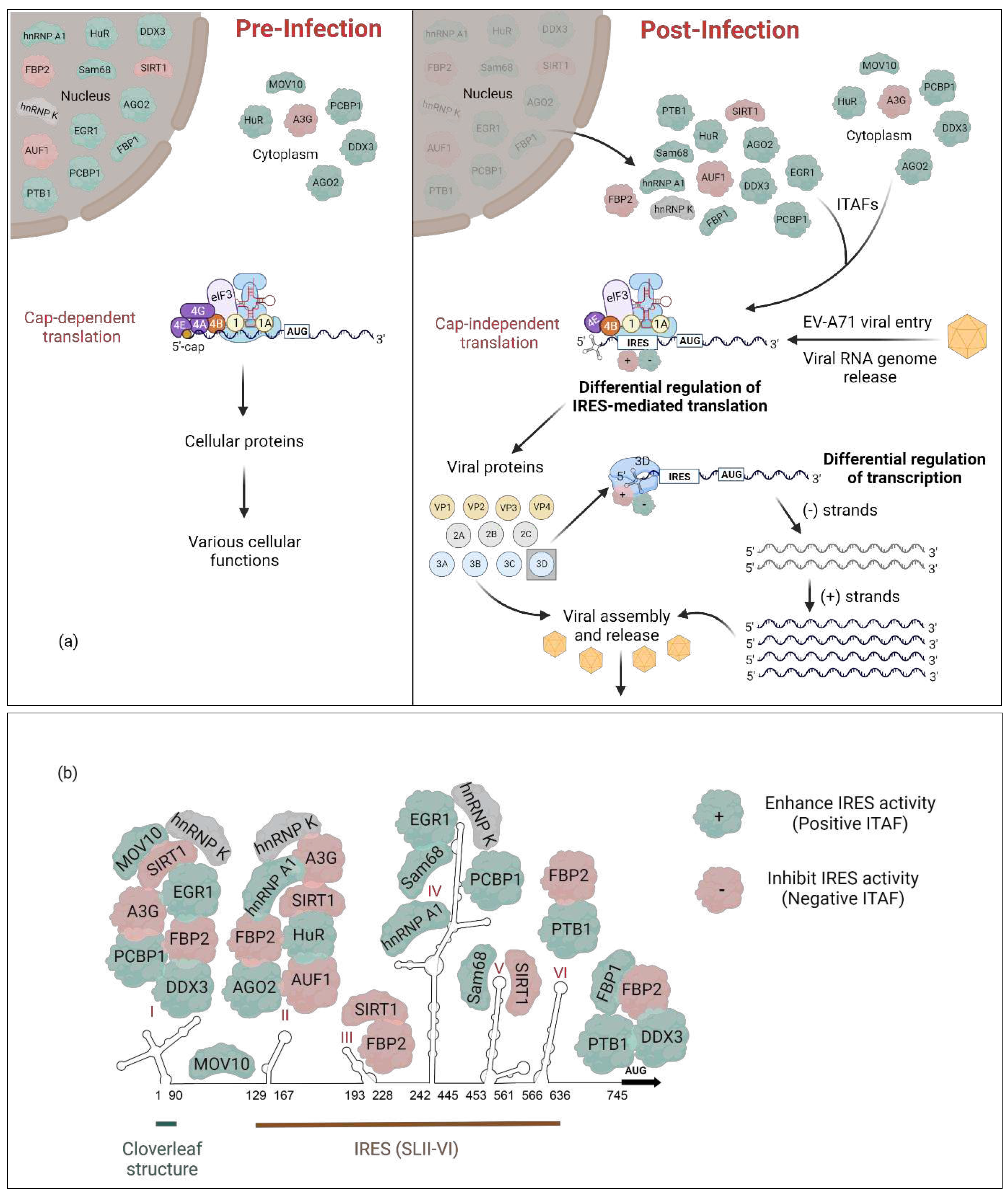 Preprints 93023 g001