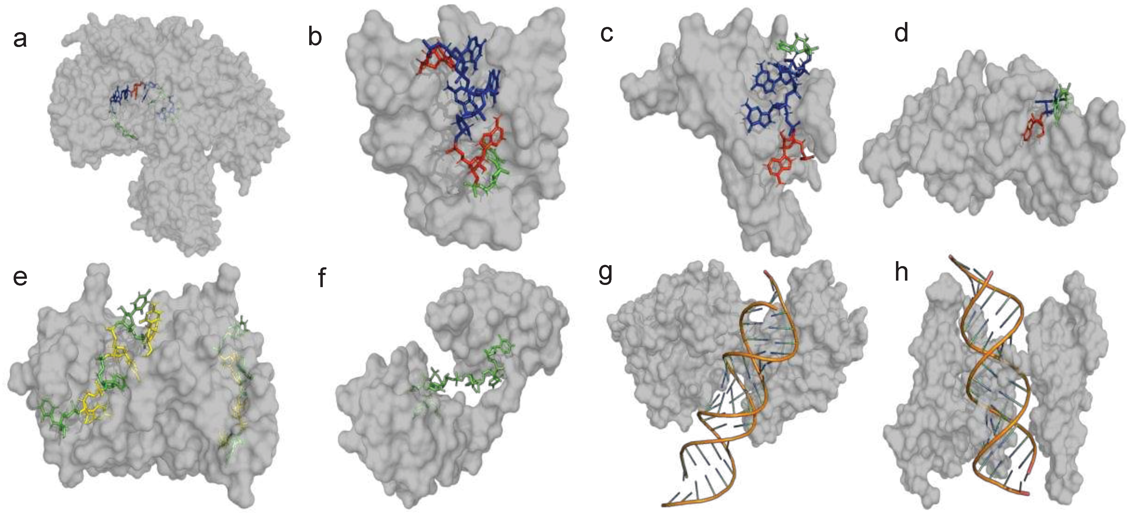 Preprints 93023 g003