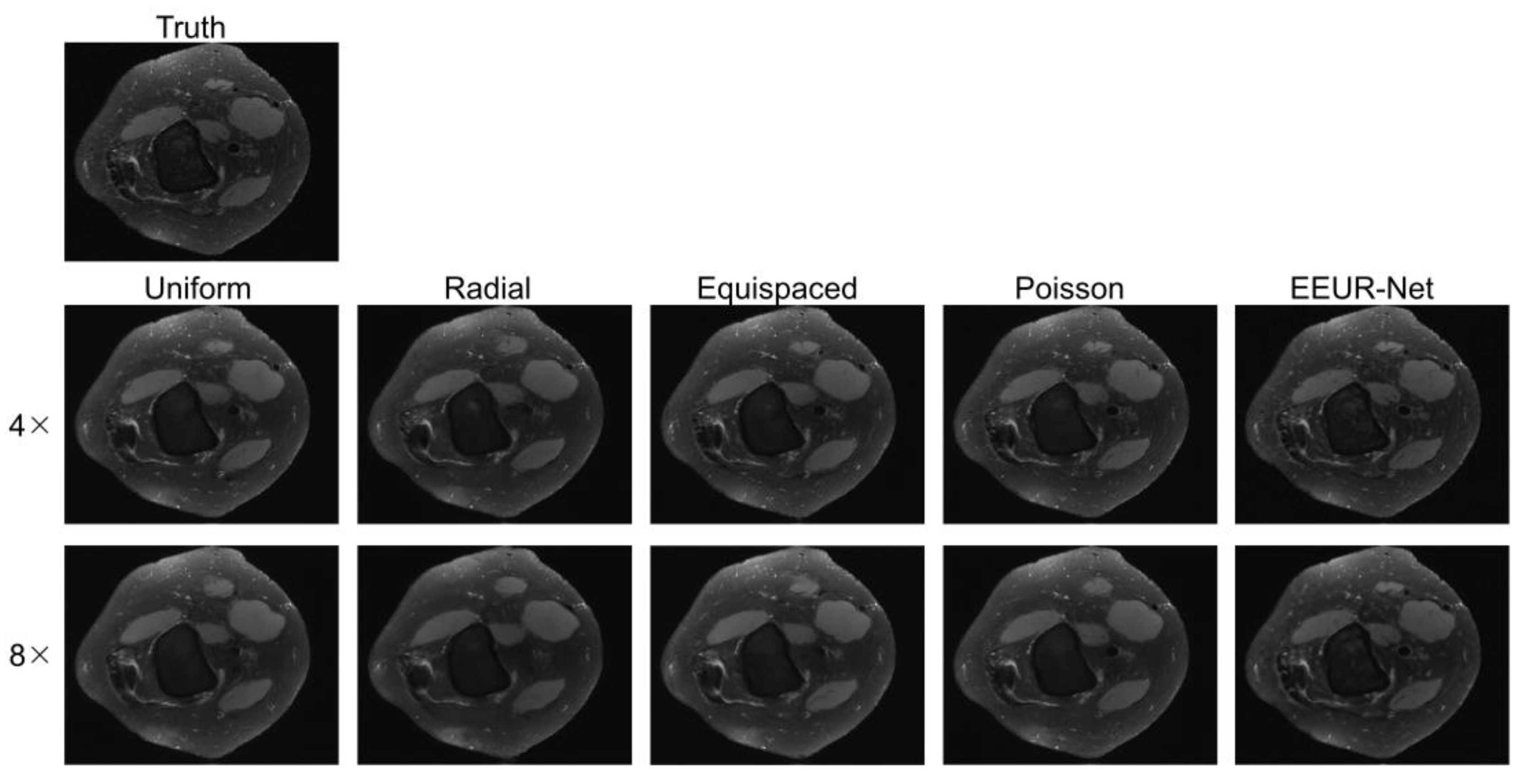 Preprints 91876 g005