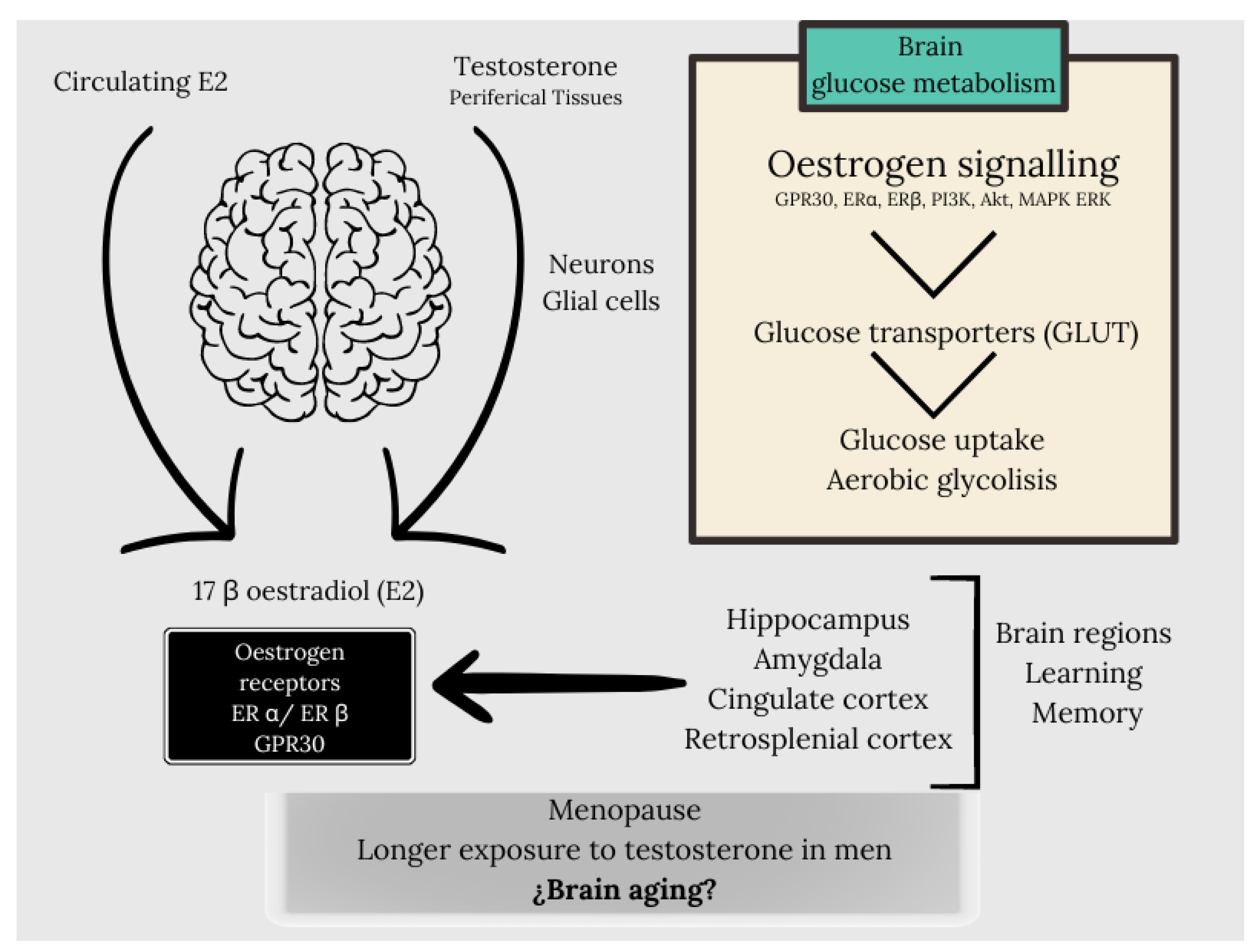 Preprints 118955 g001