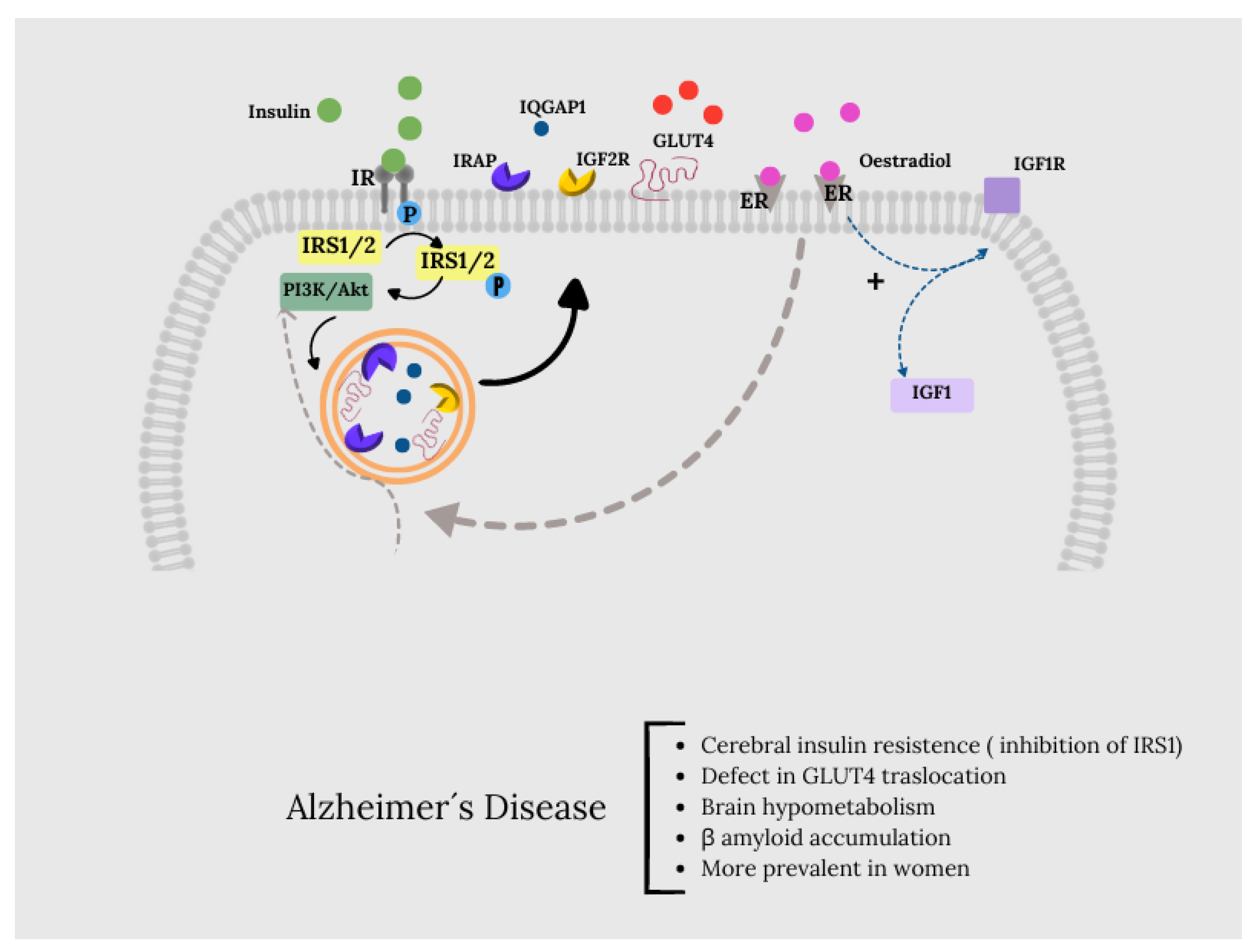 Preprints 118955 g003