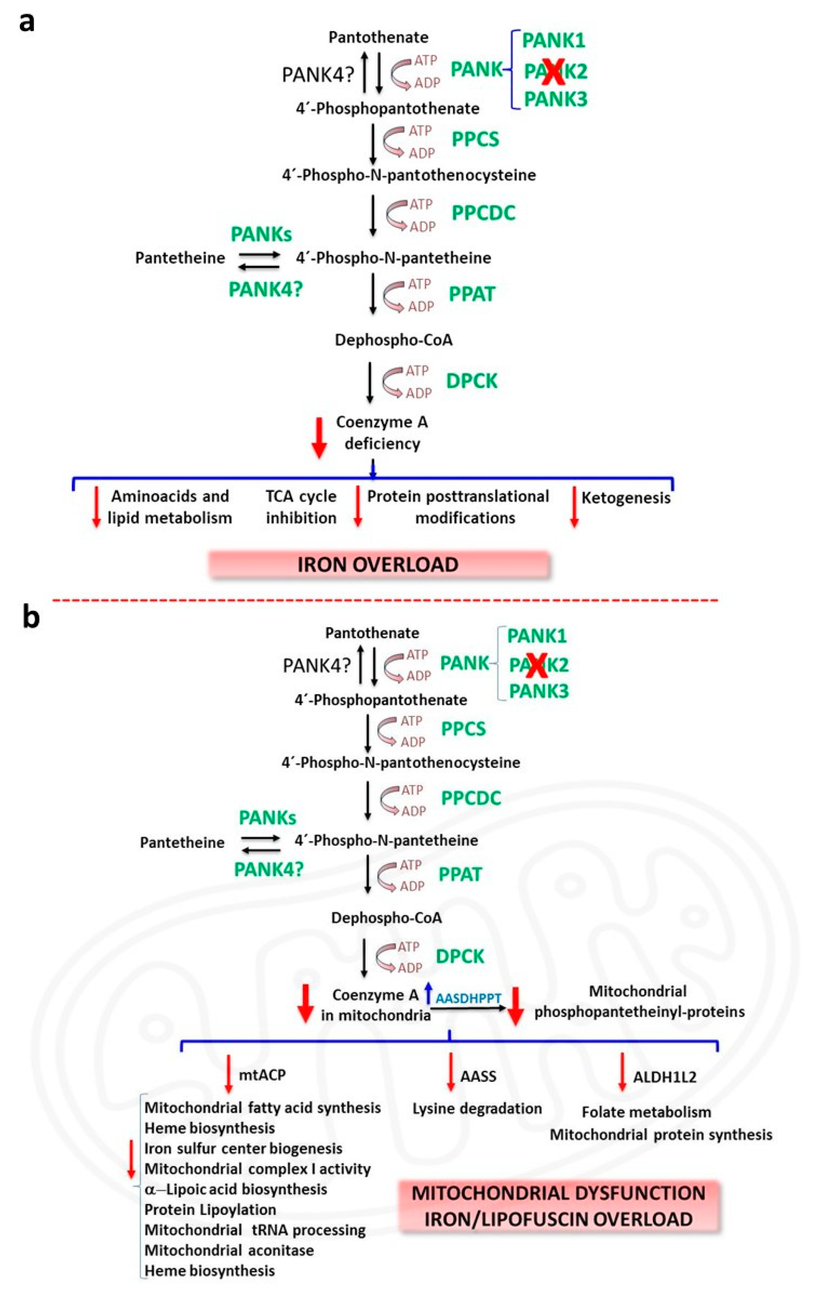 Preprints 85792 g001