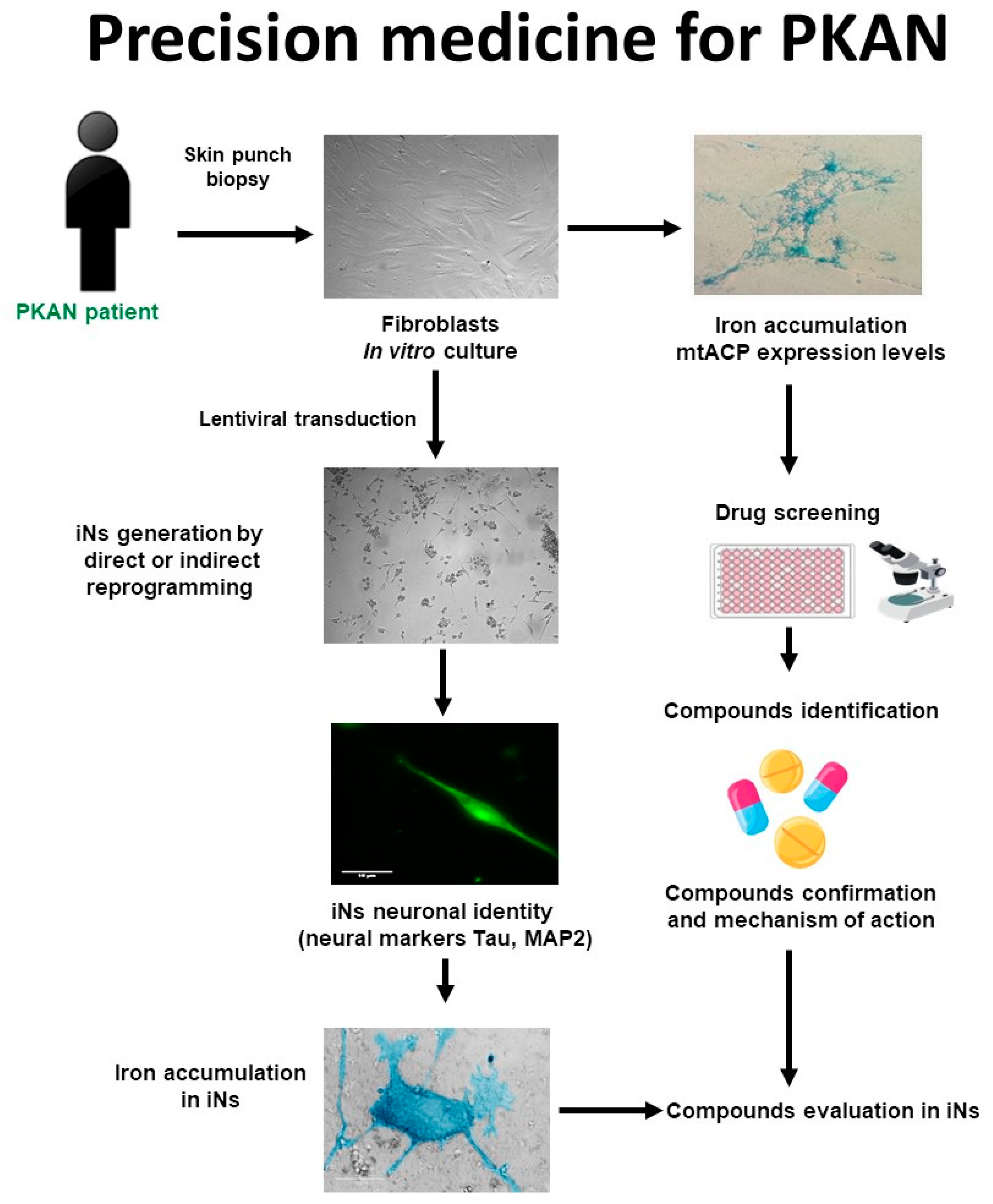 Preprints 85792 g004