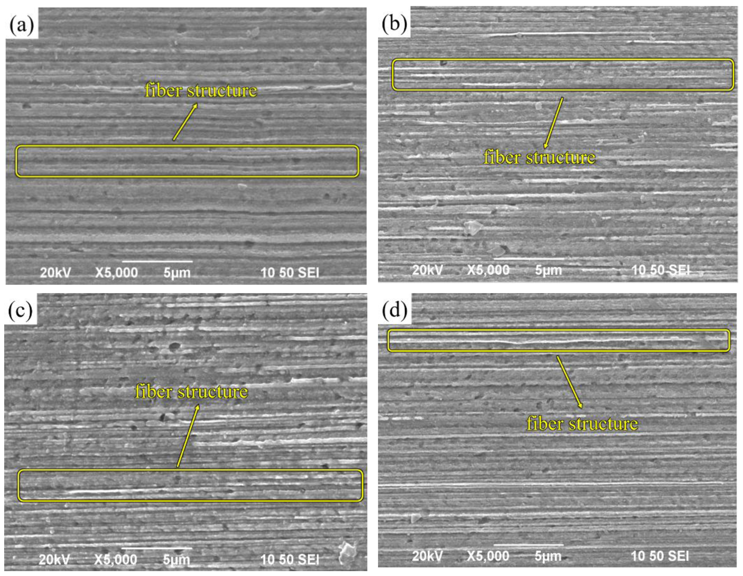 Preprints 79384 g003