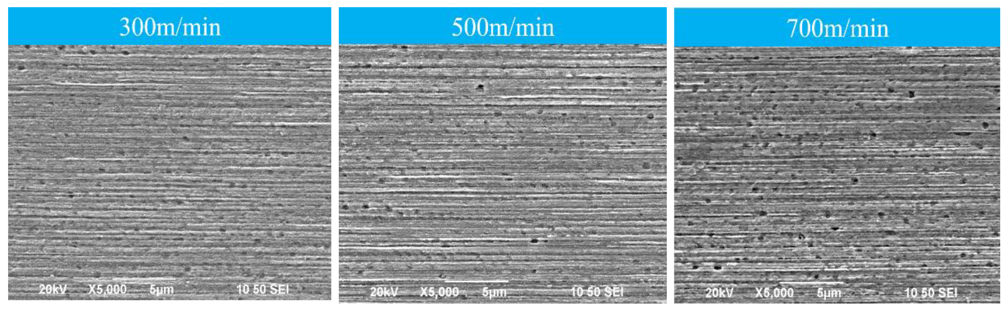 Preprints 79384 g005