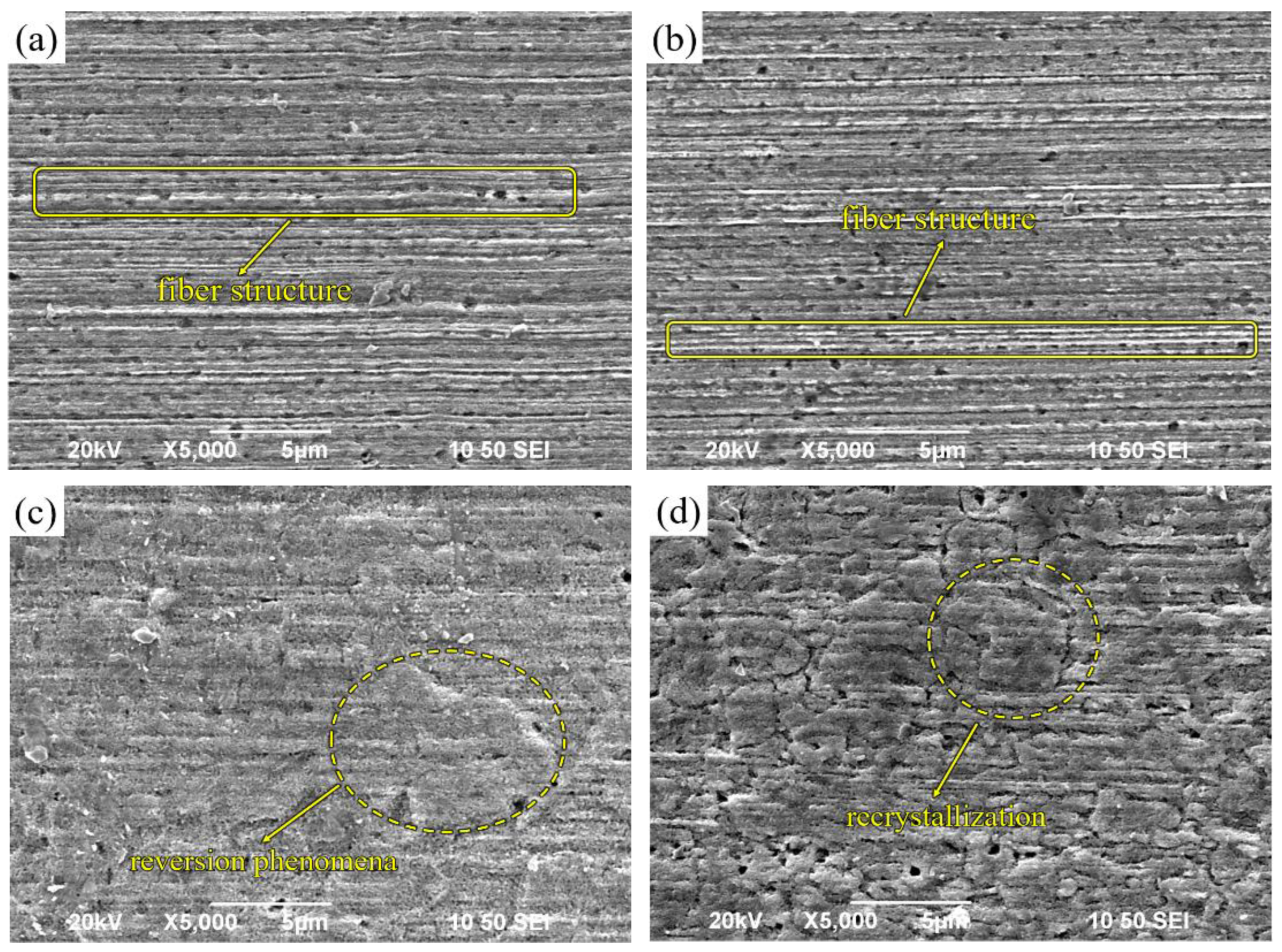 Preprints 79384 g007