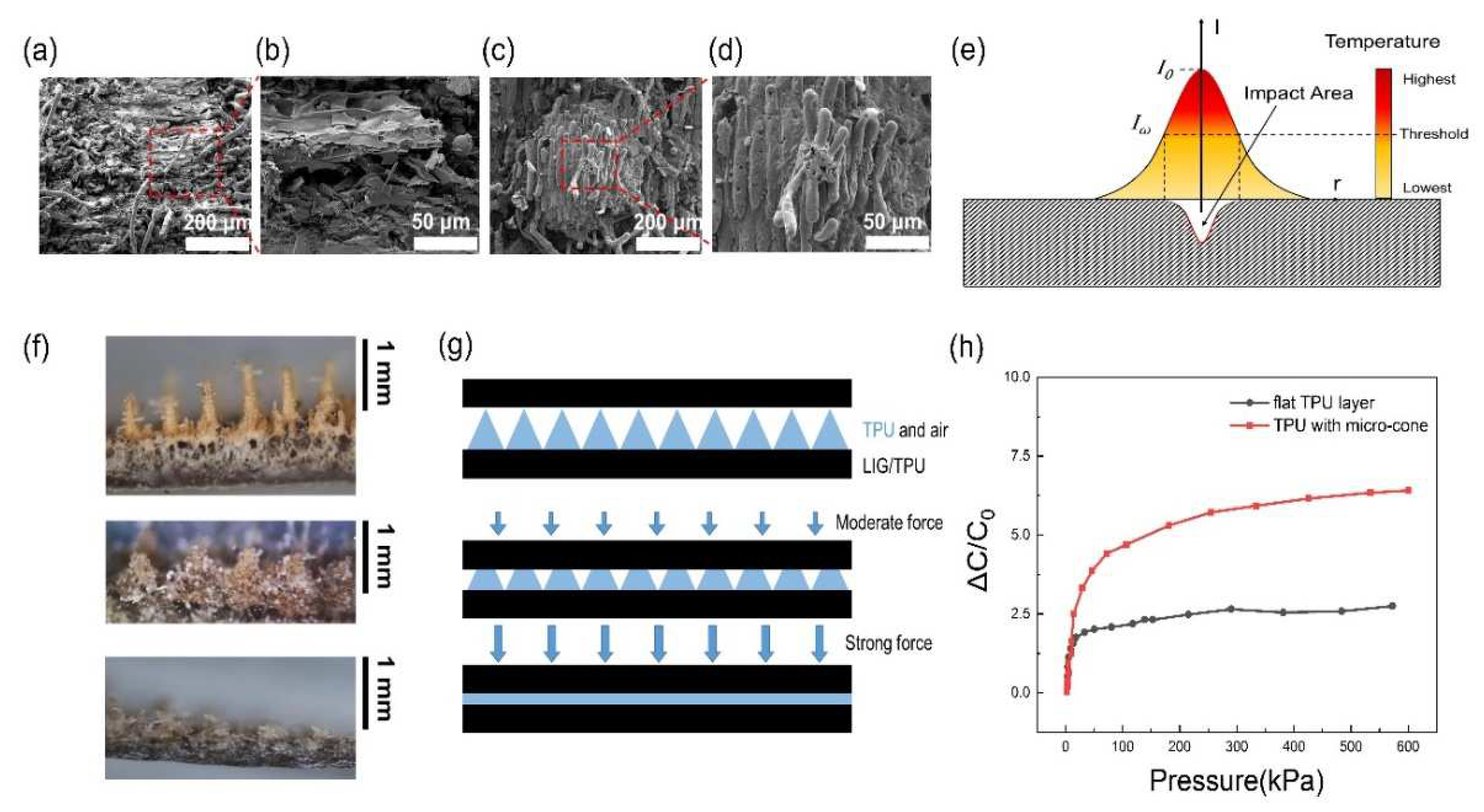 Preprints 73980 g004