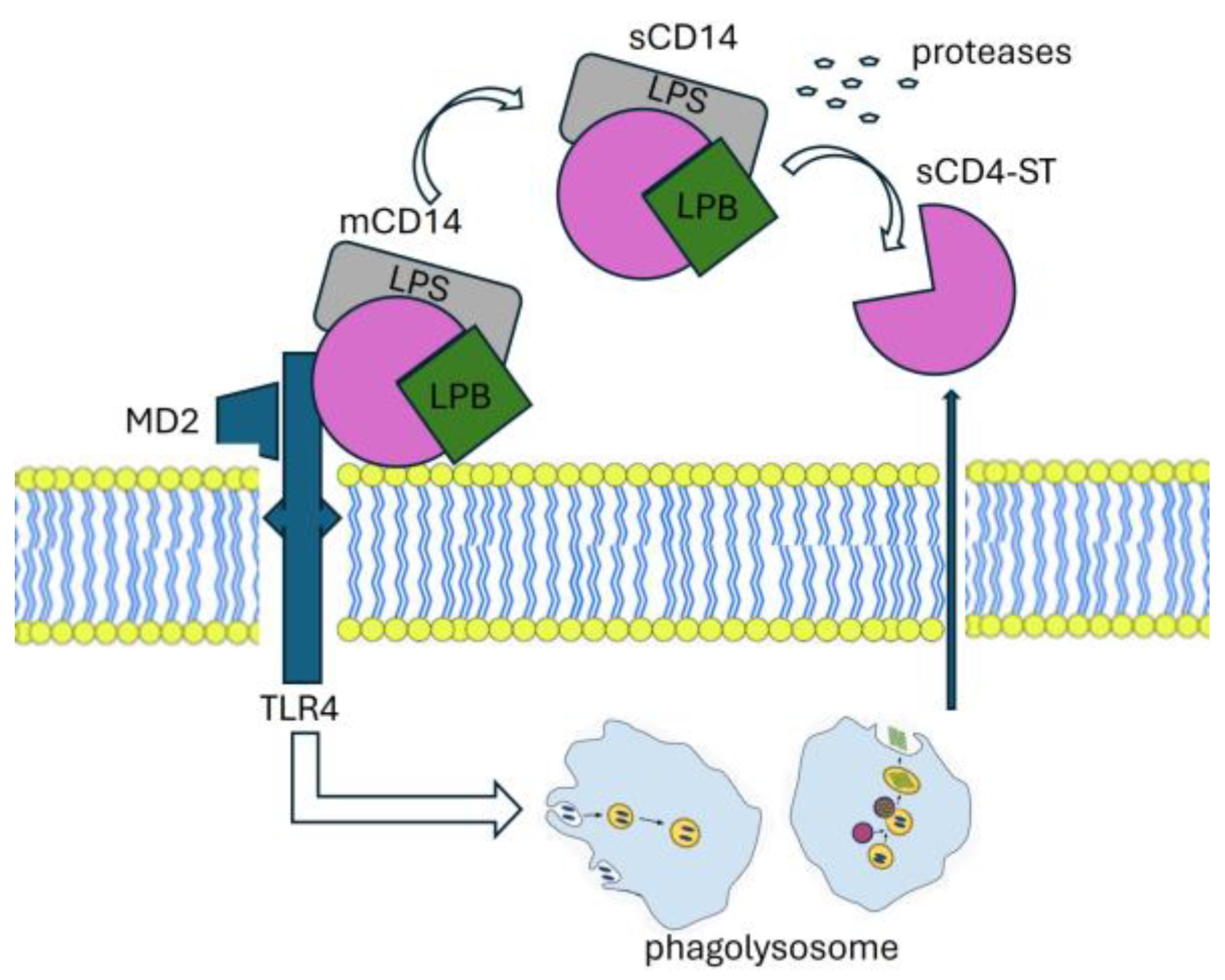 Preprints 107895 g002