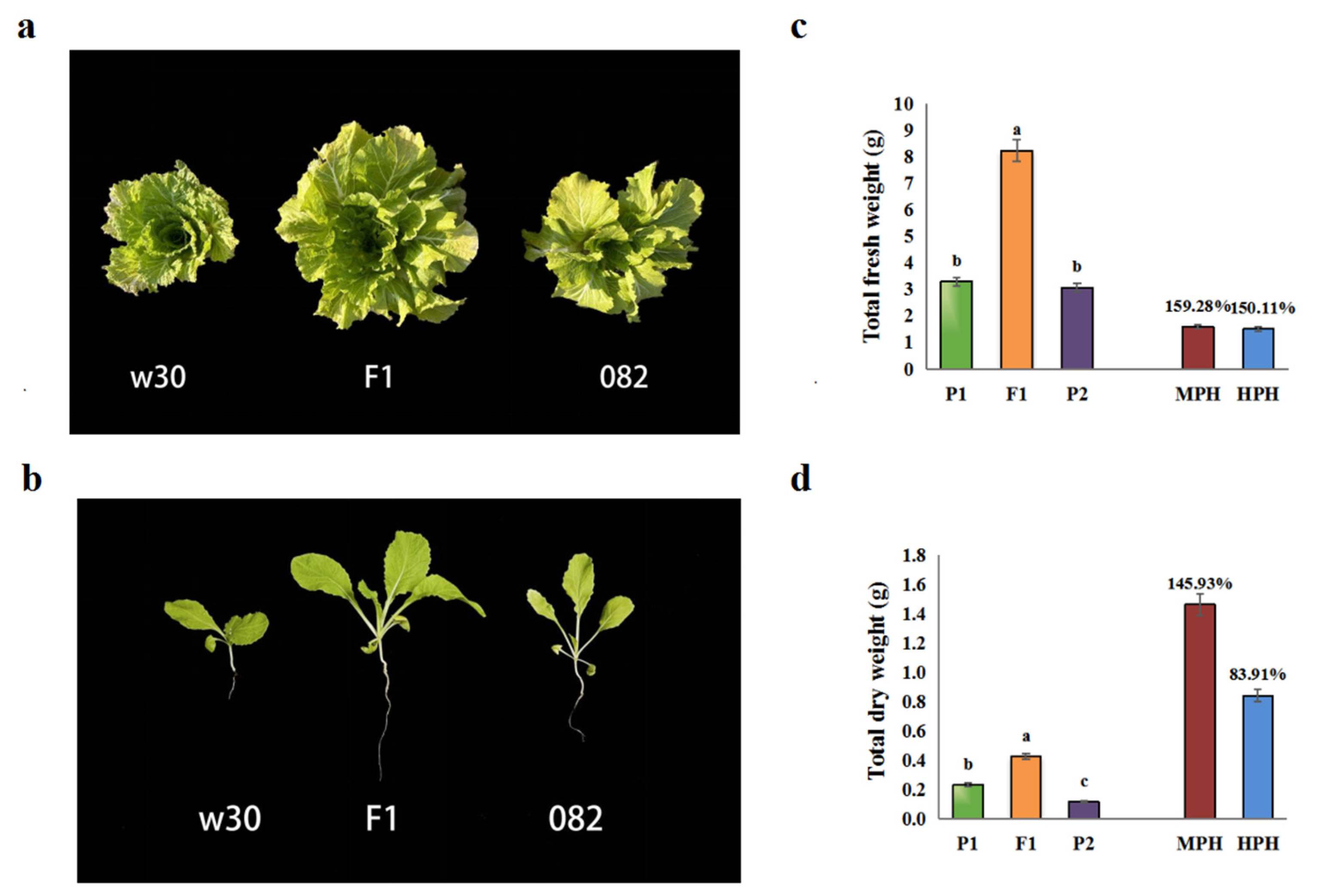 Preprints 93715 g001