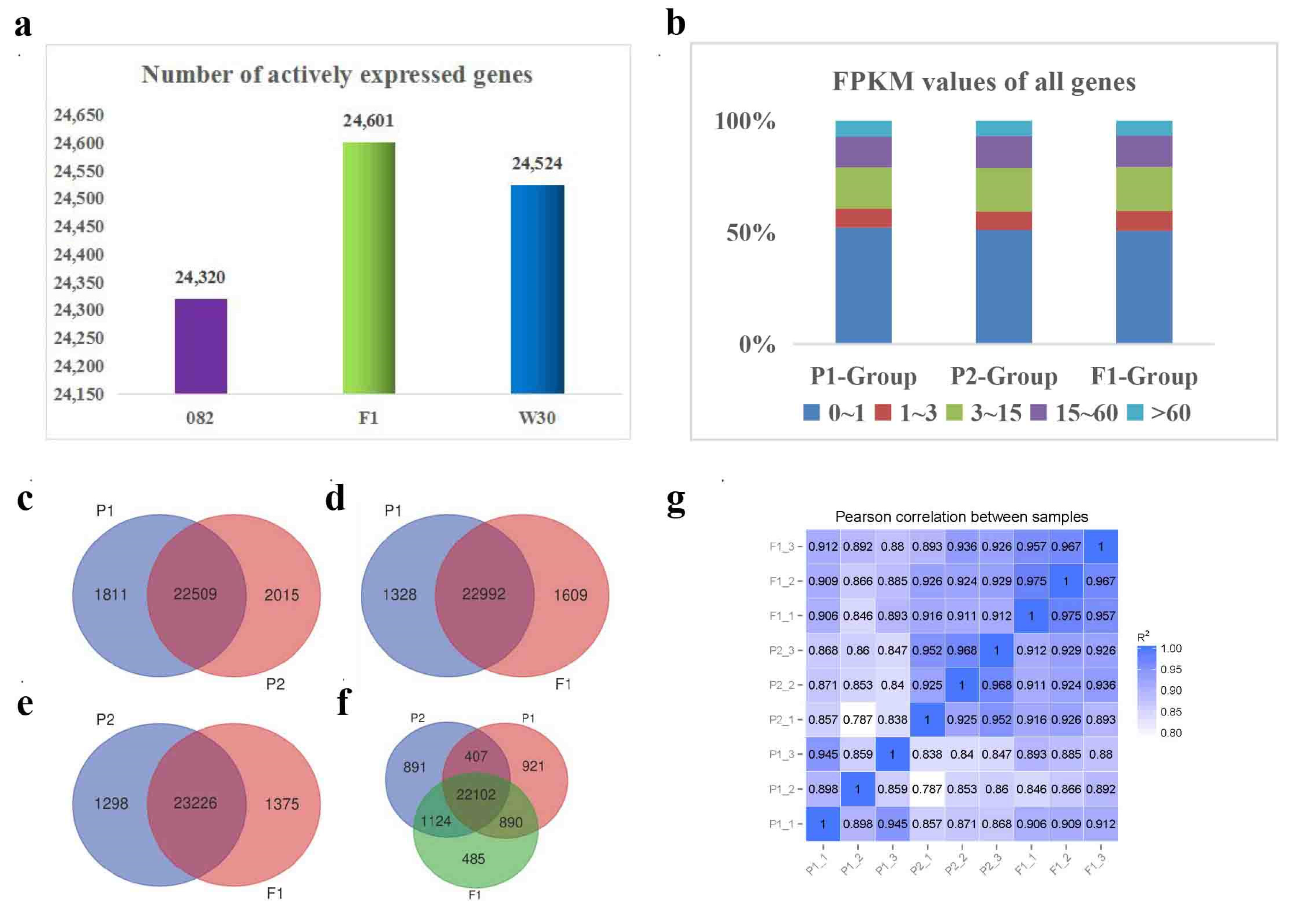 Preprints 93715 g002