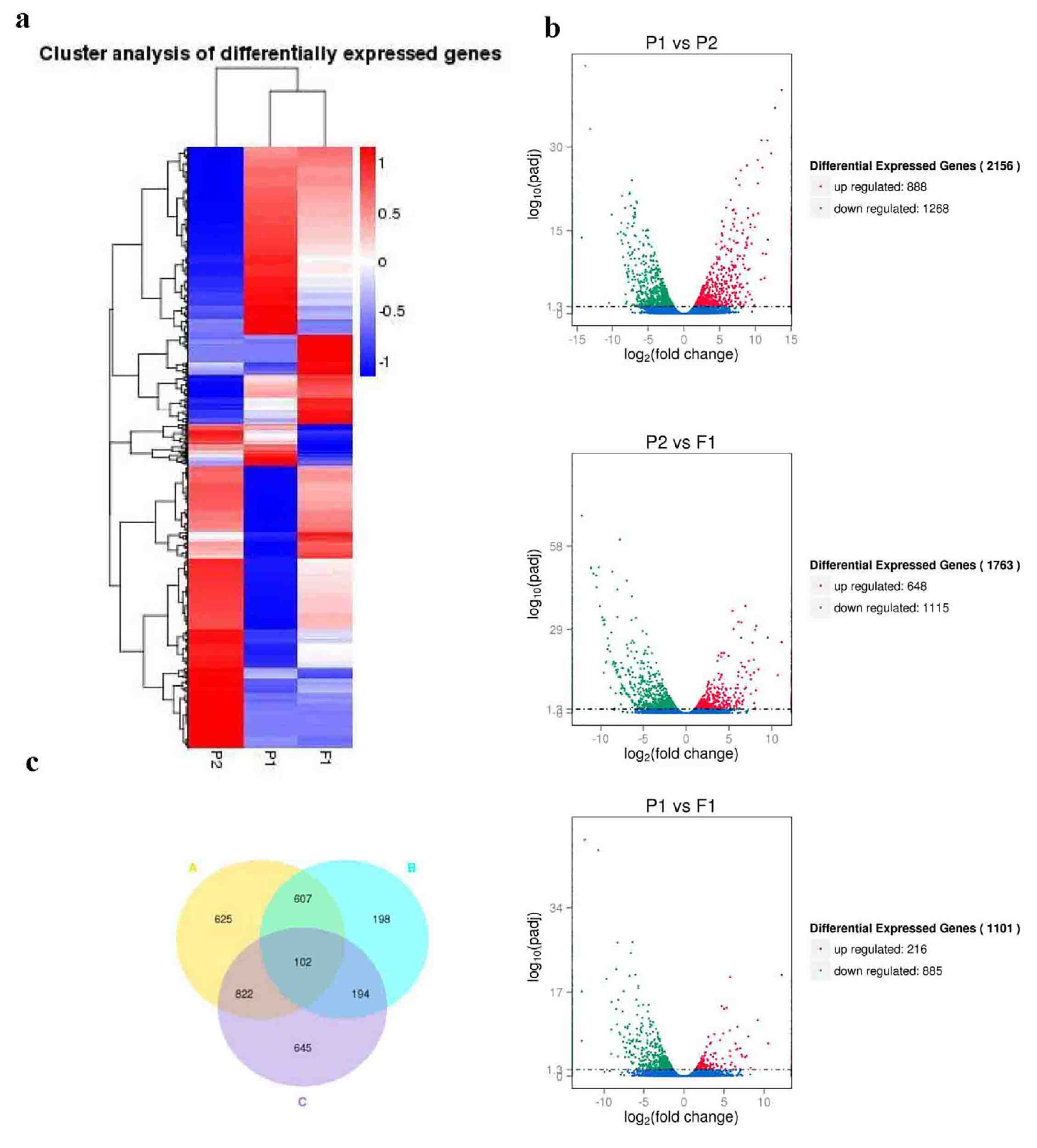 Preprints 93715 g003