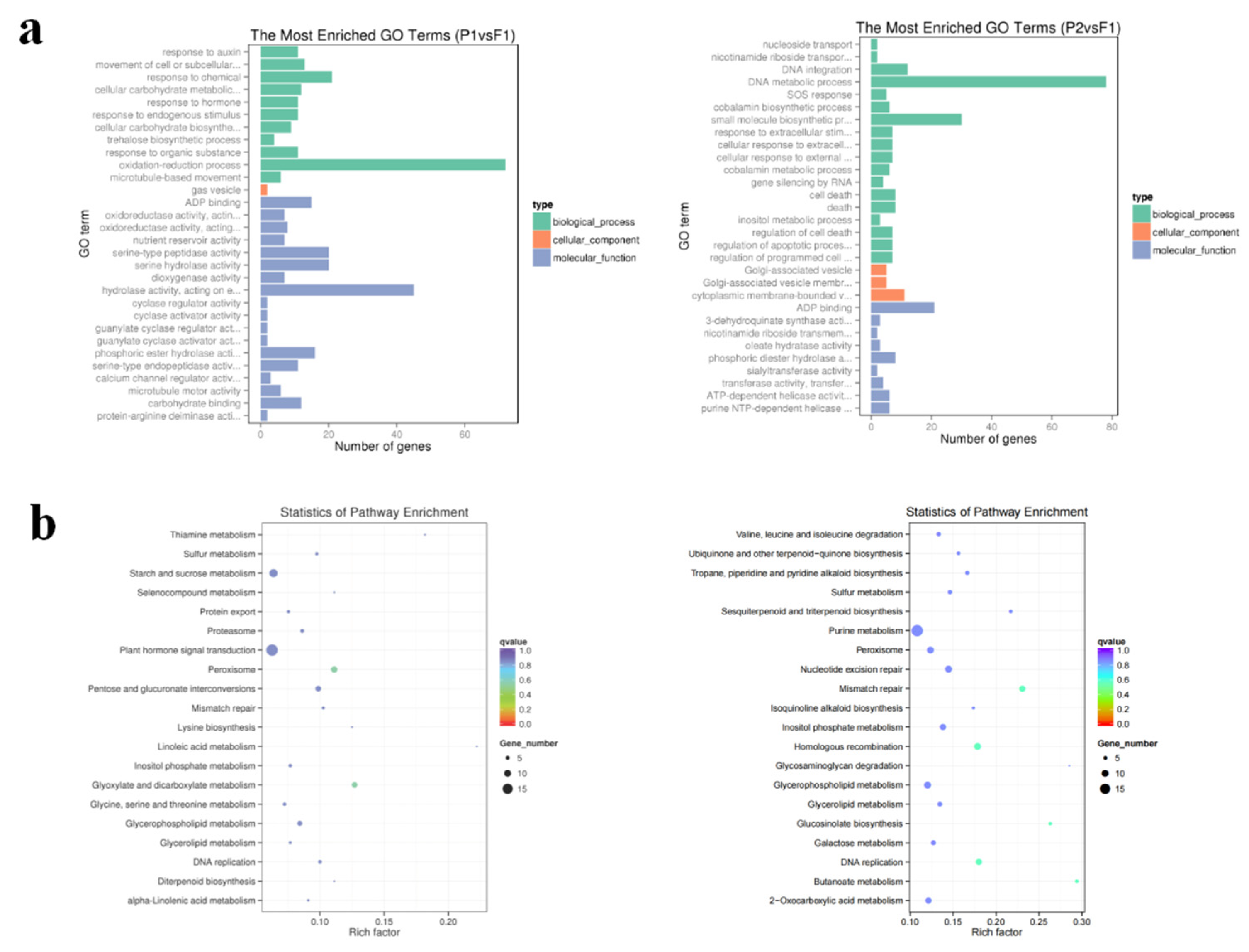 Preprints 93715 g004