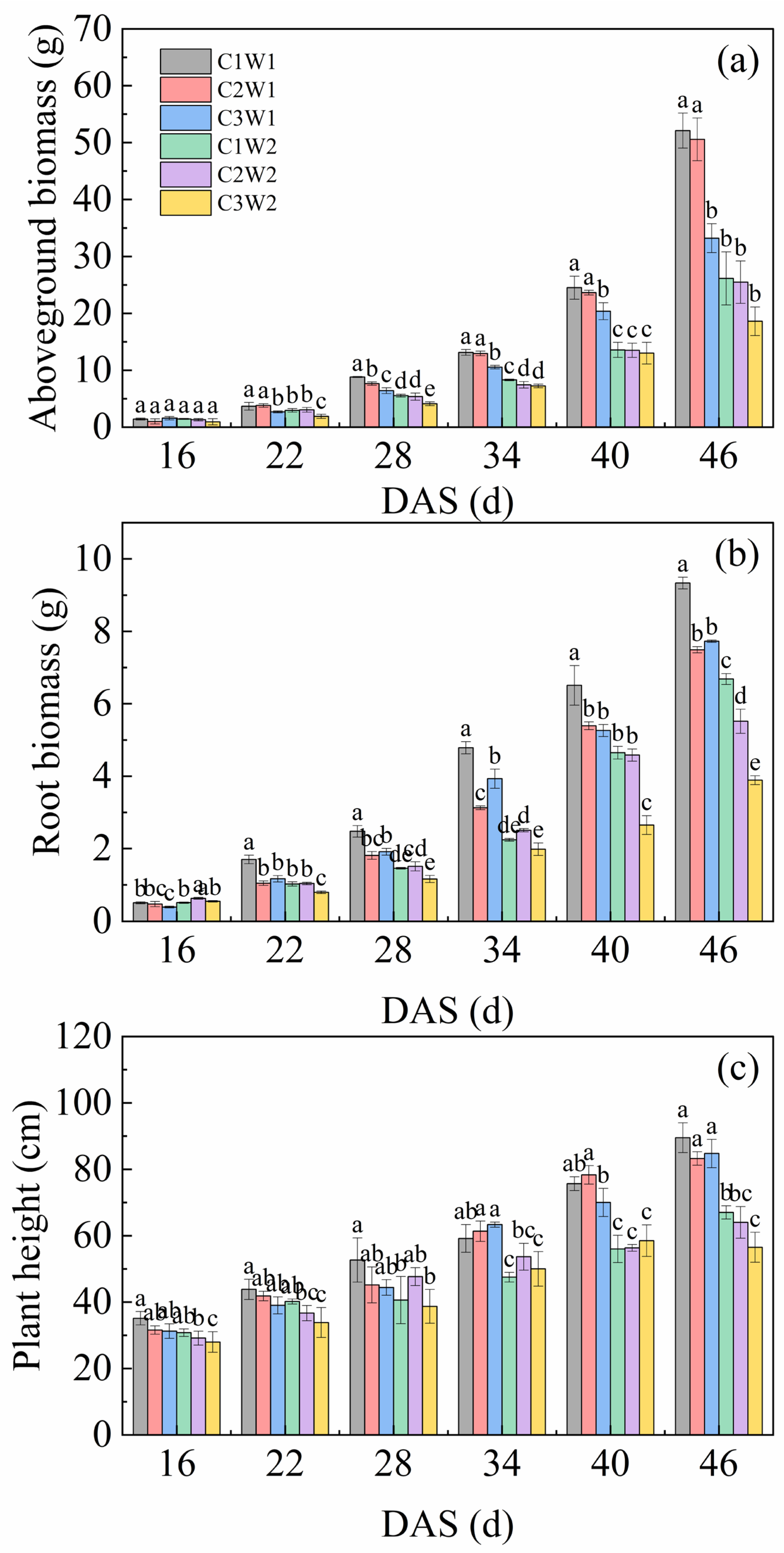 Preprints 119800 g003