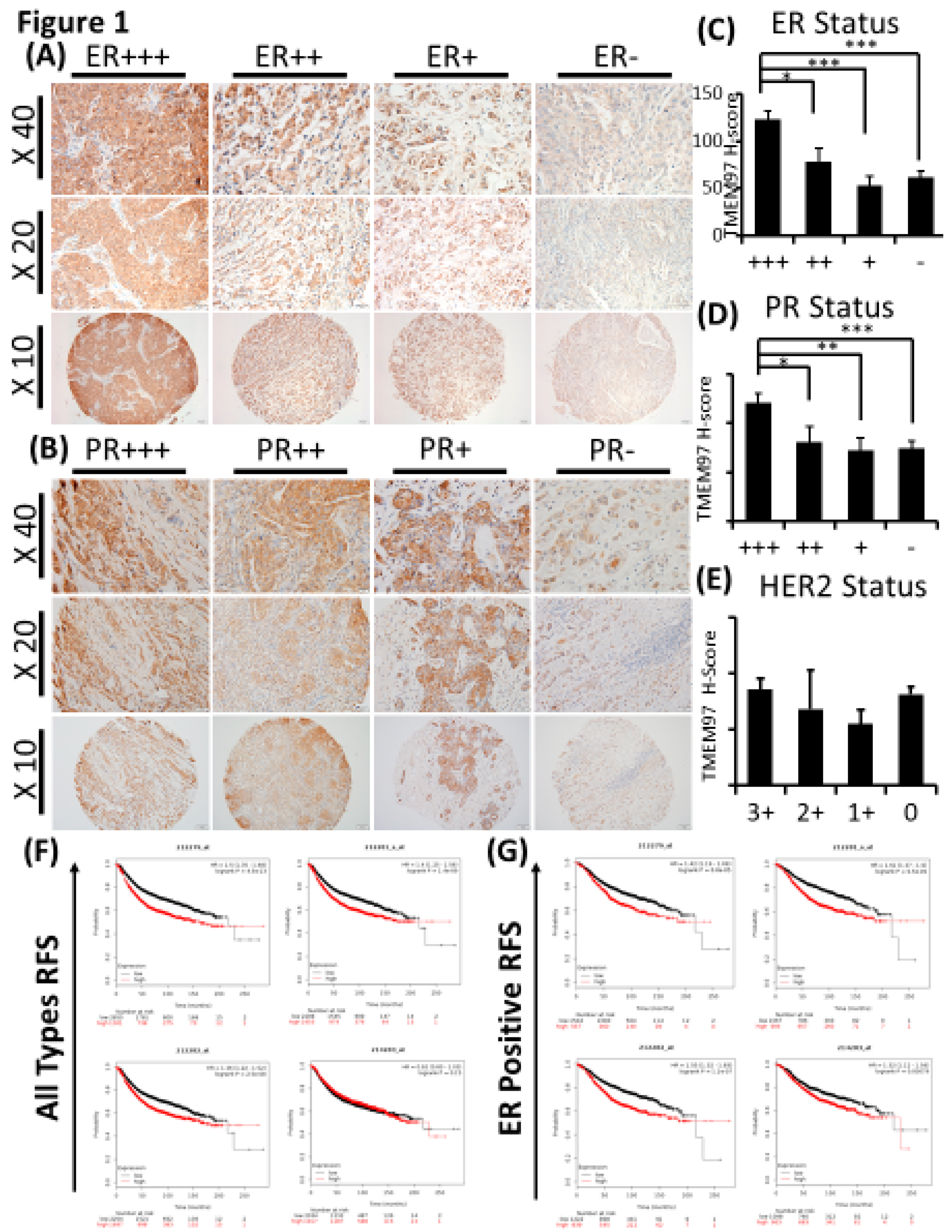 Preprints 90266 g001