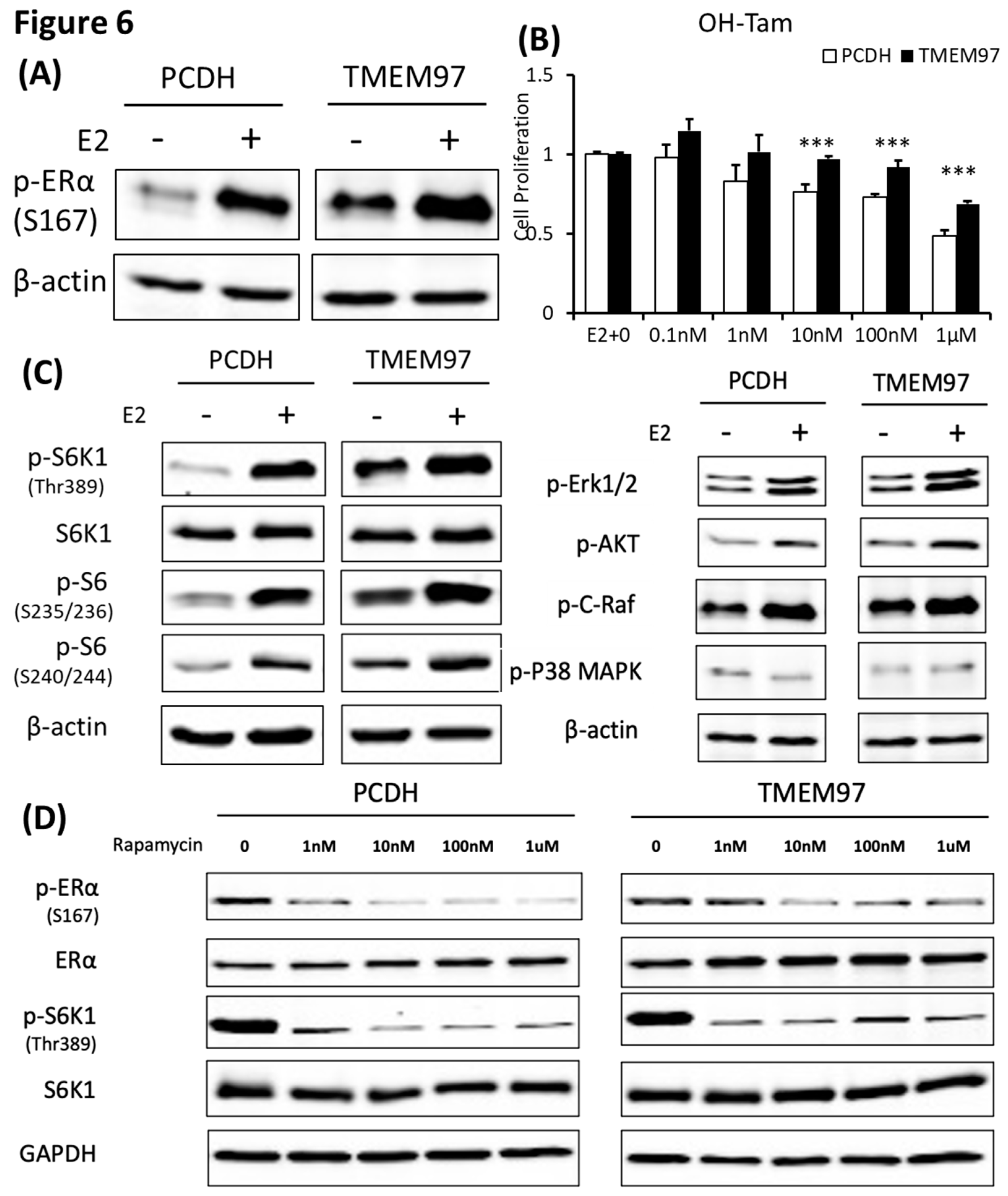 Preprints 90266 g006