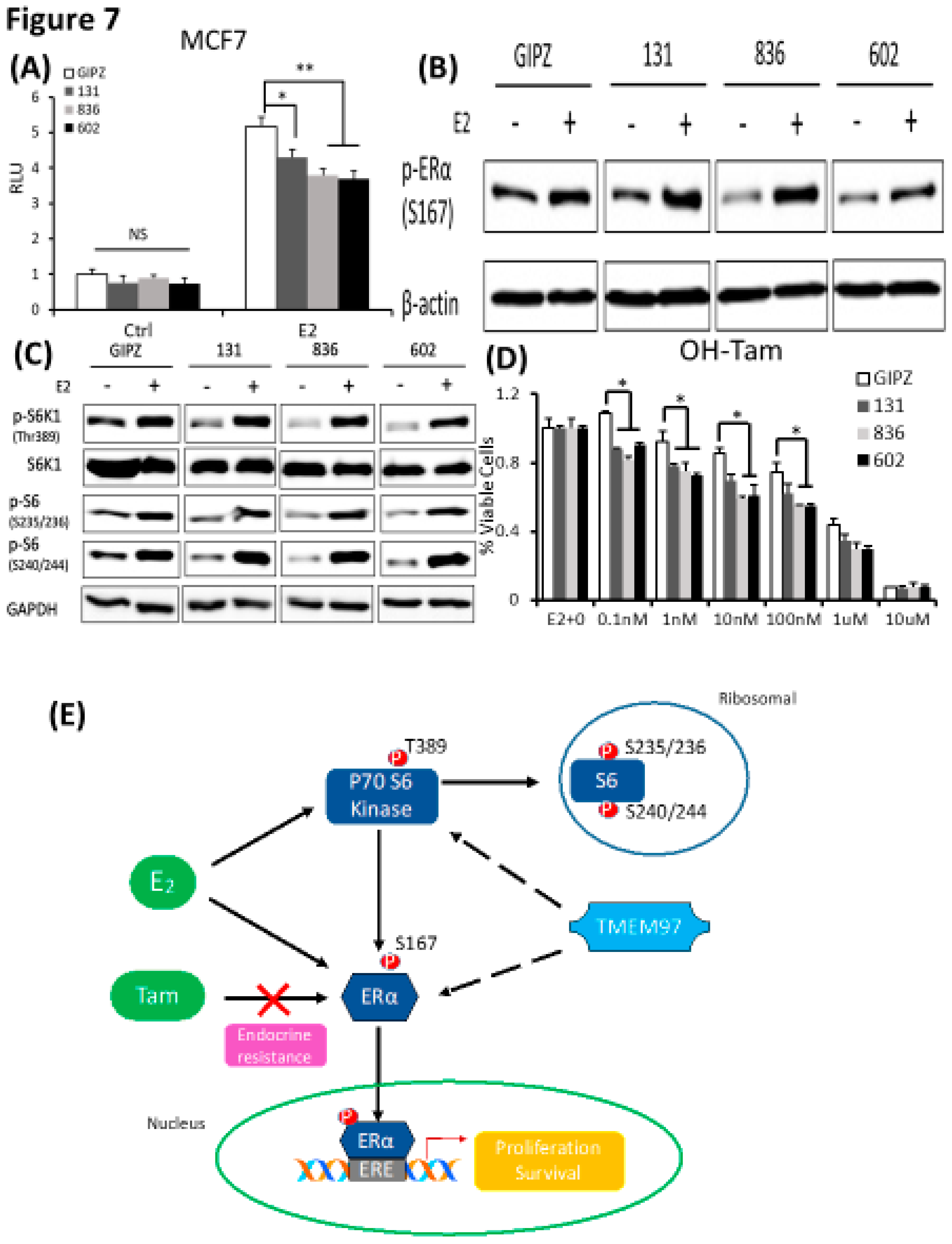 Preprints 90266 g007