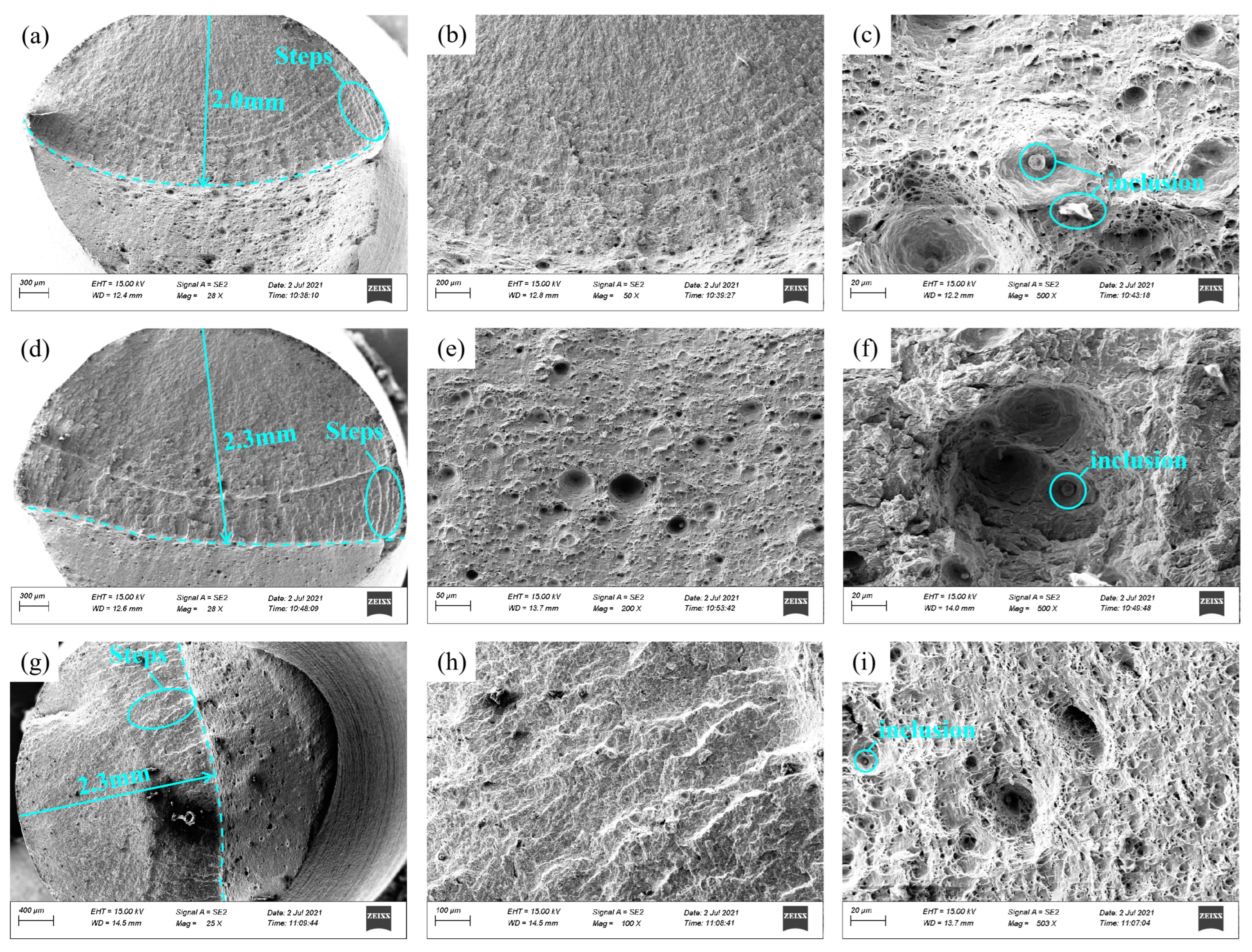 Preprints 79137 g009