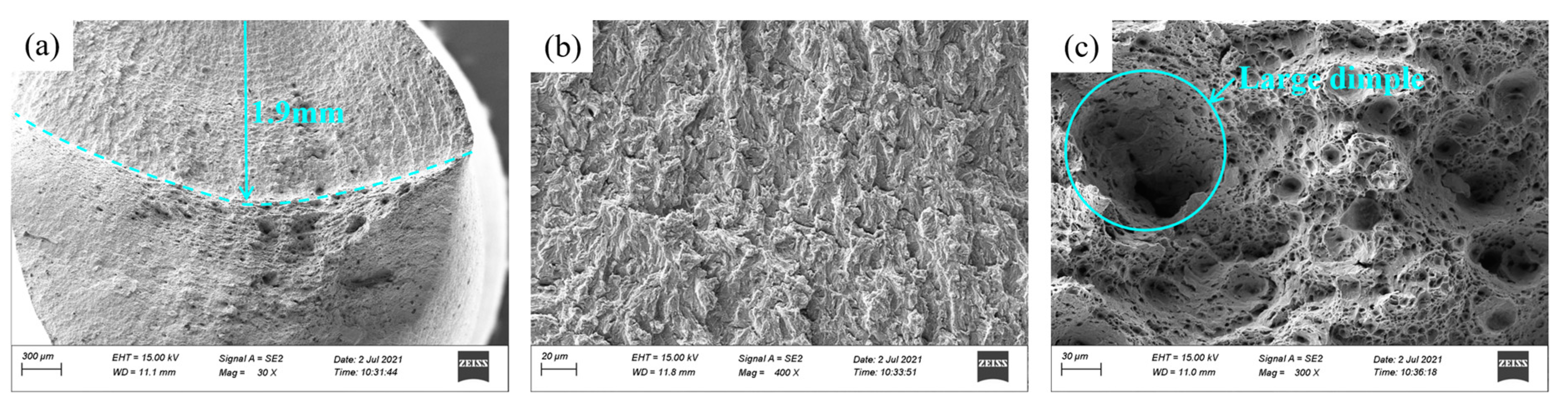 Preprints 79137 g010