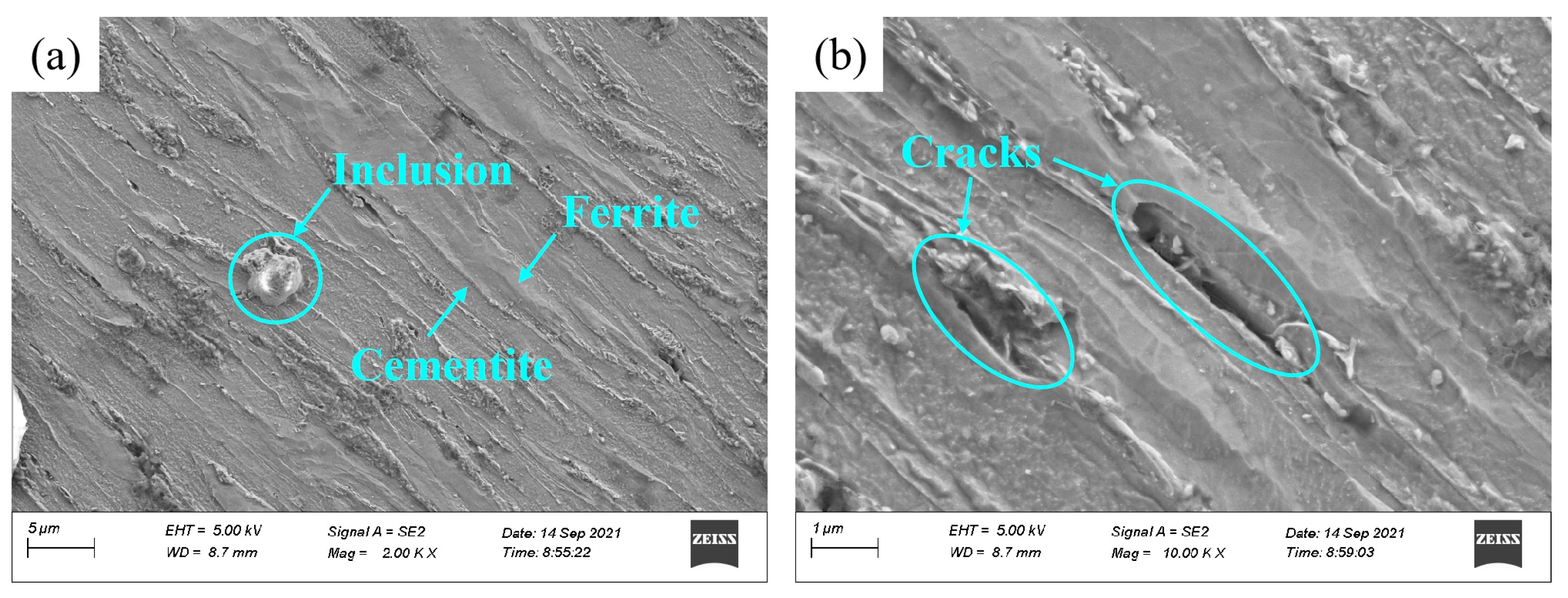 Preprints 79137 g013