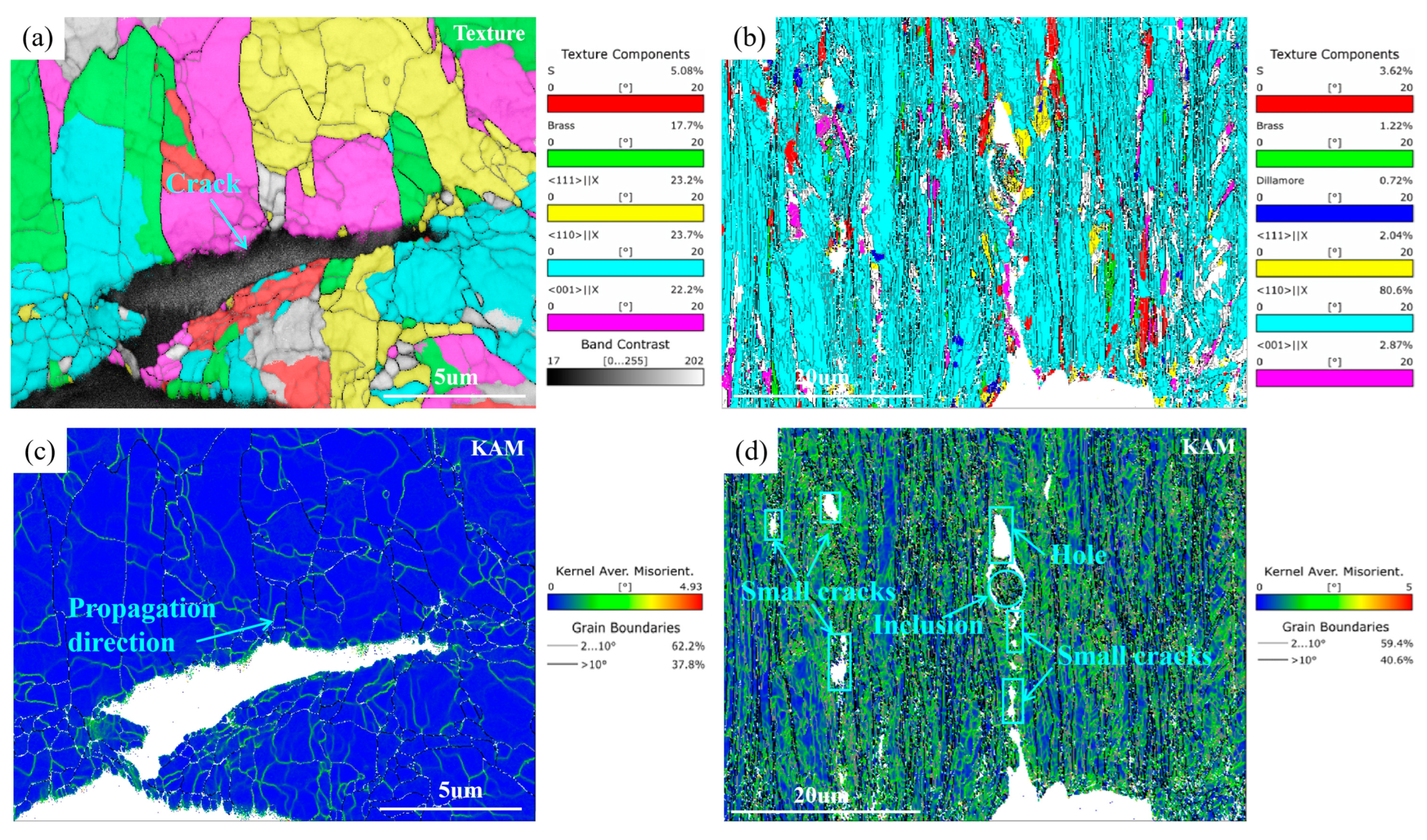 Preprints 79137 g015