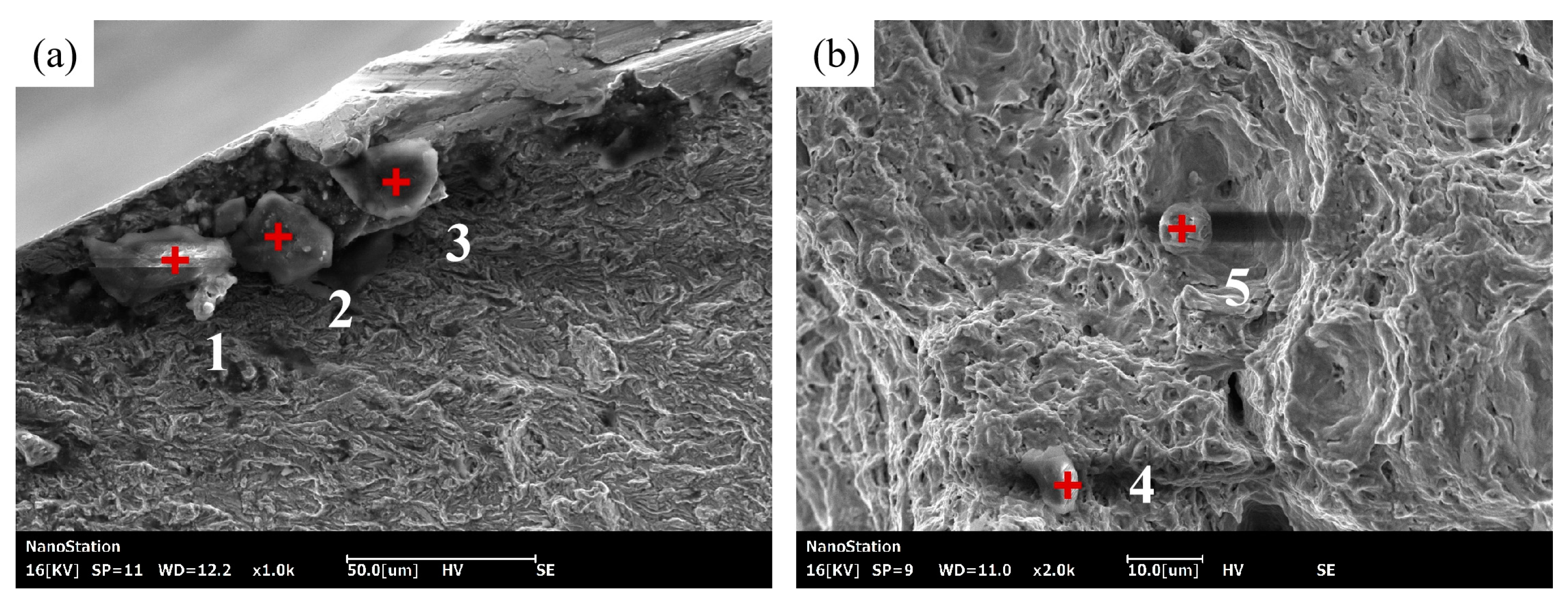 Preprints 79137 g024