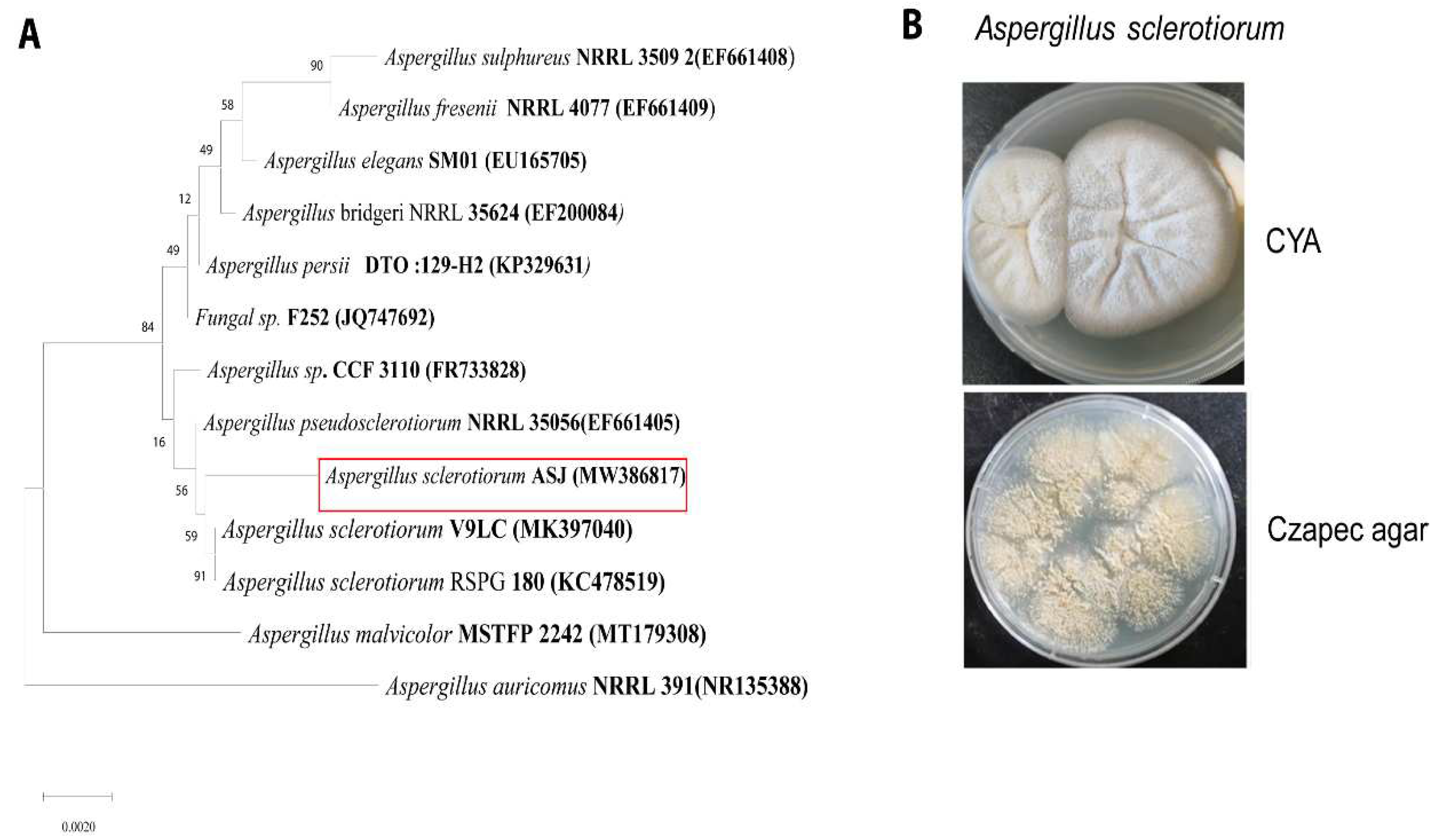 Preprints 74267 g002