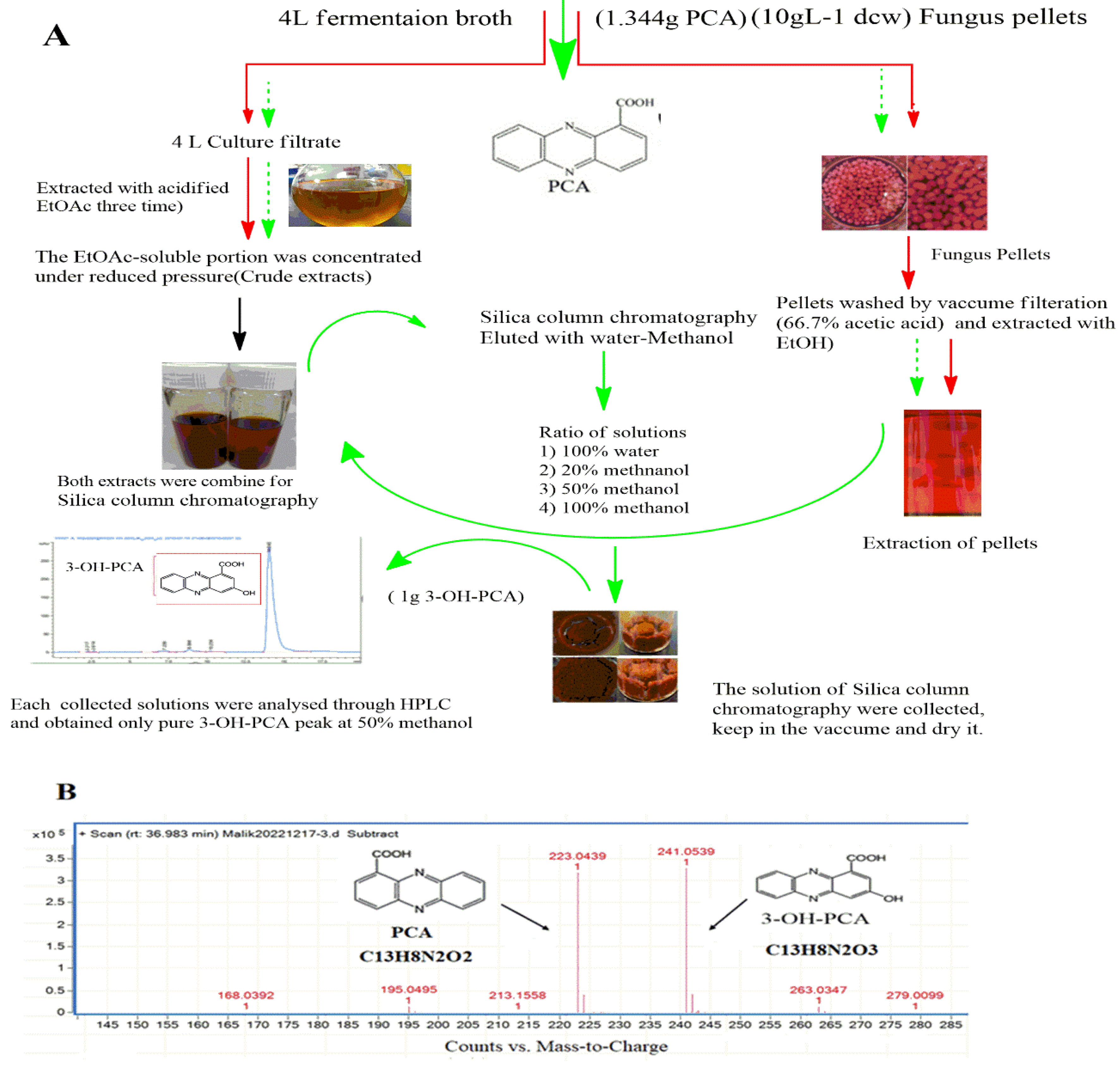 Preprints 74267 g005