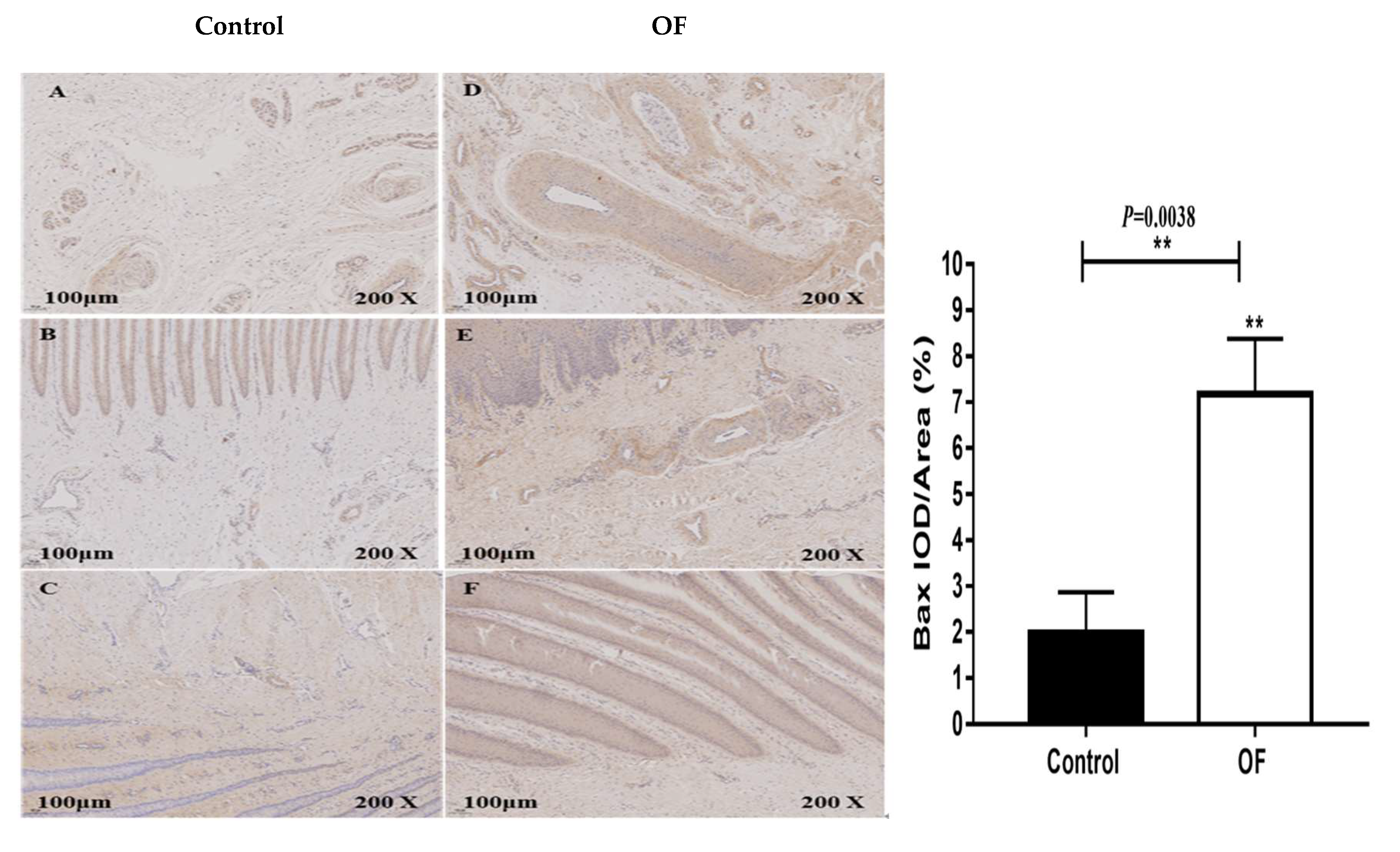 Preprints 137783 g003