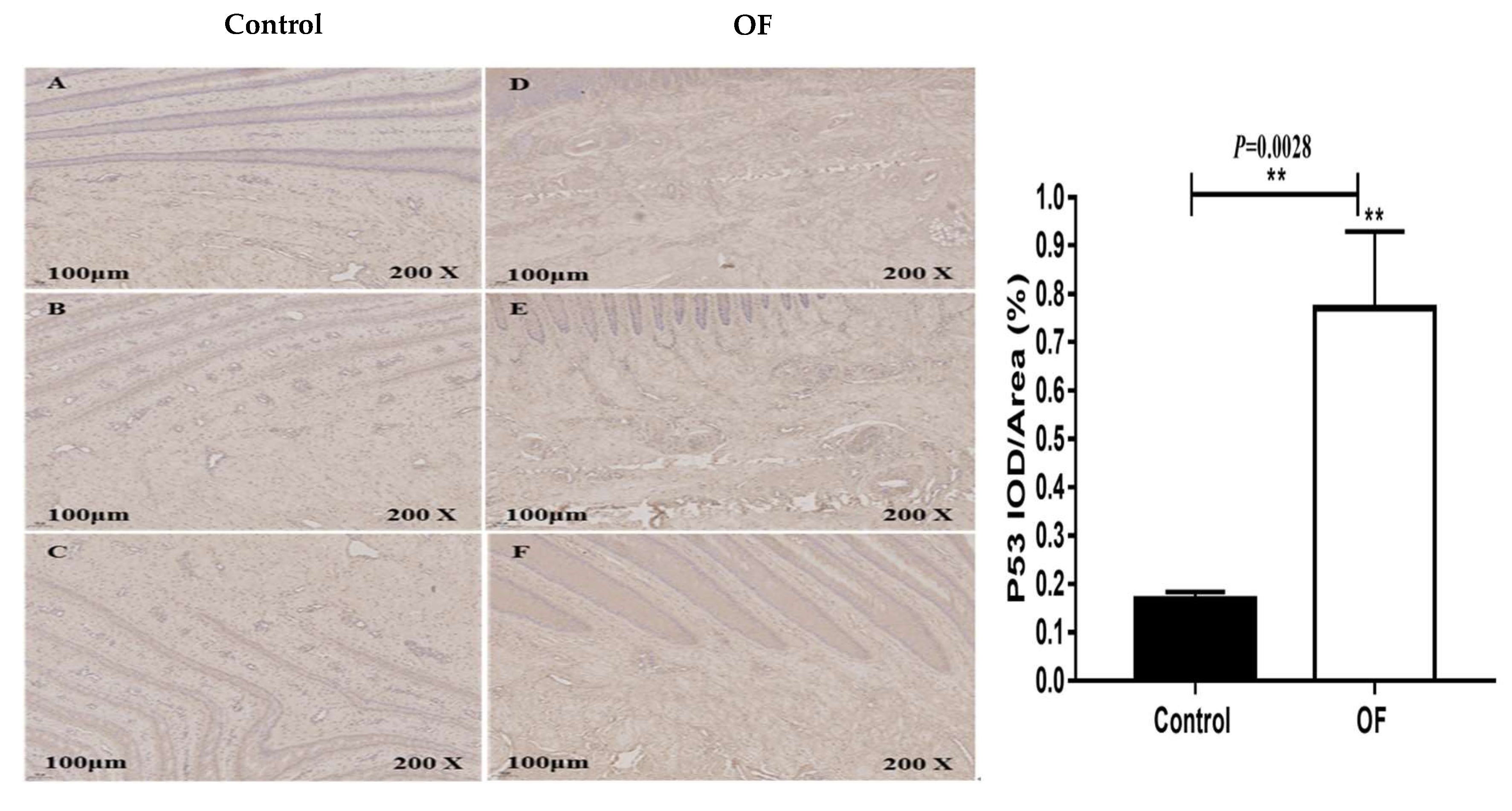 Preprints 137783 g004