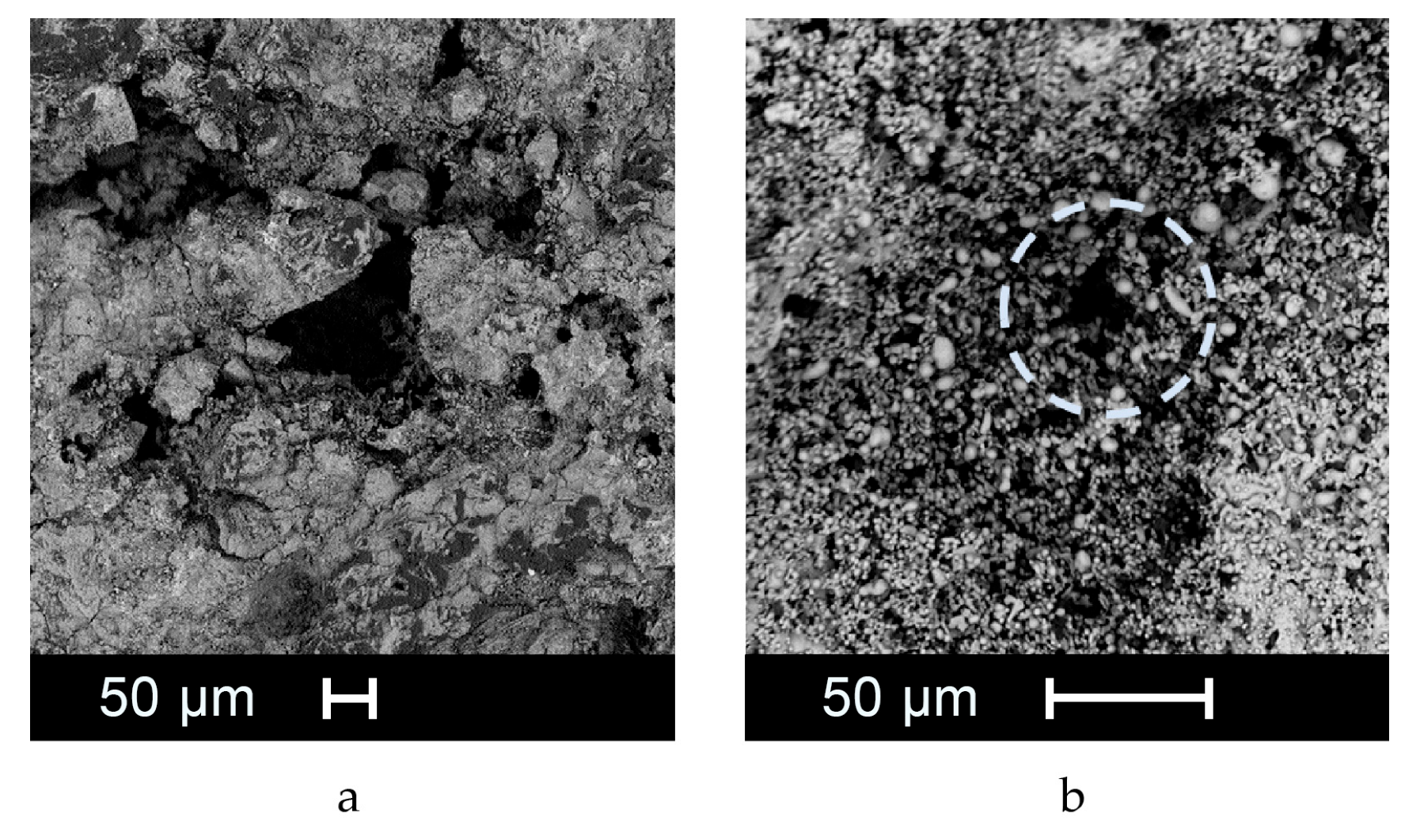 Preprints 113658 g010