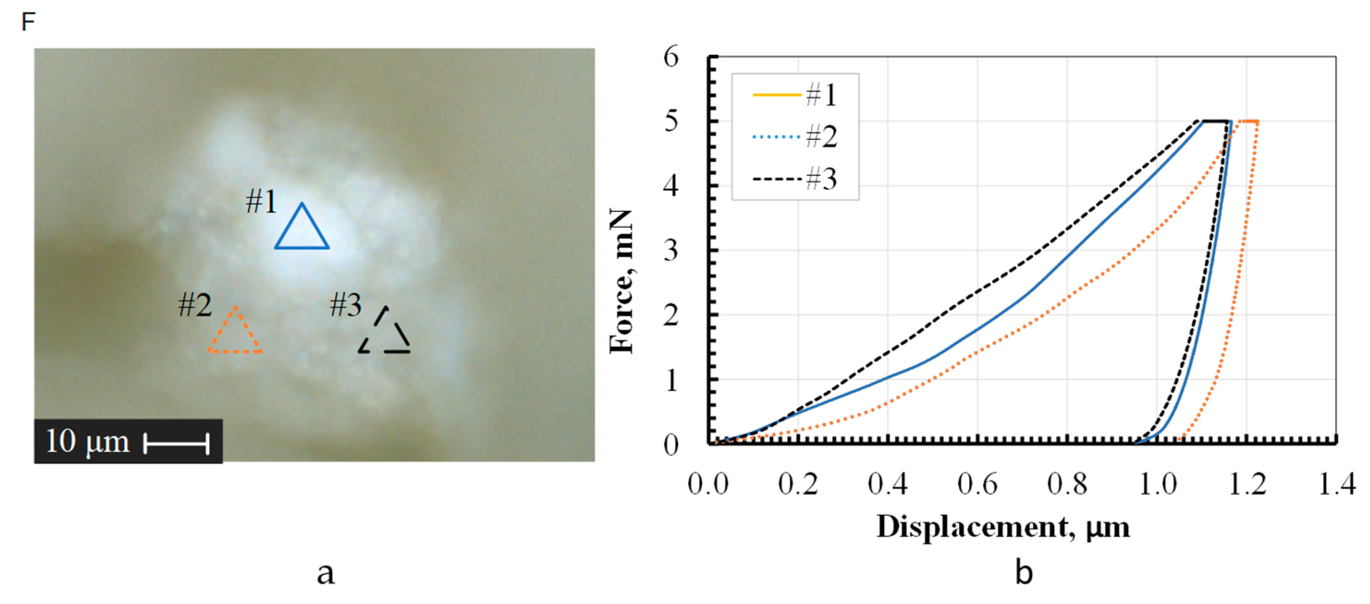 Preprints 113658 g012